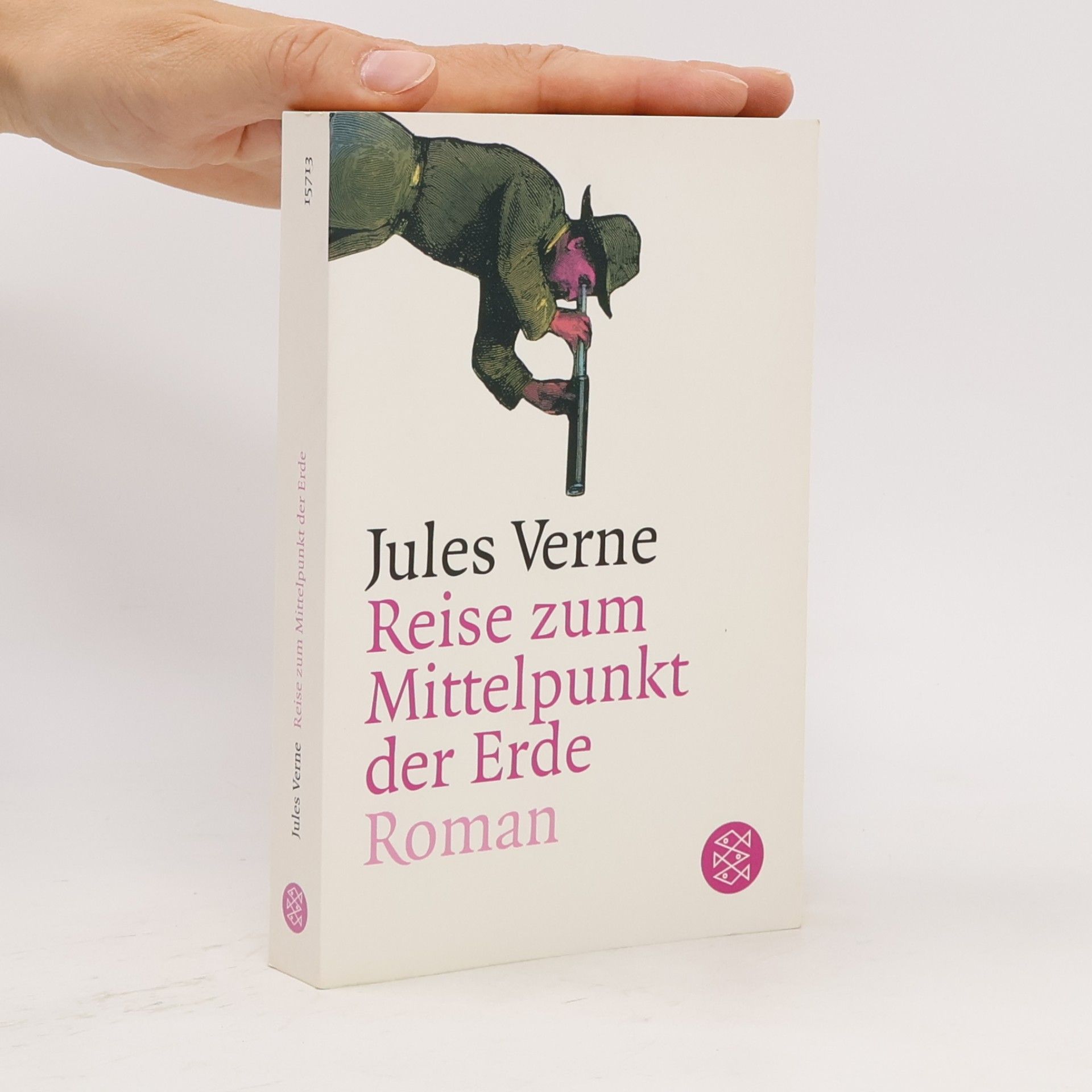 Jules Verne Reise zum Mittelpunkt der Erde