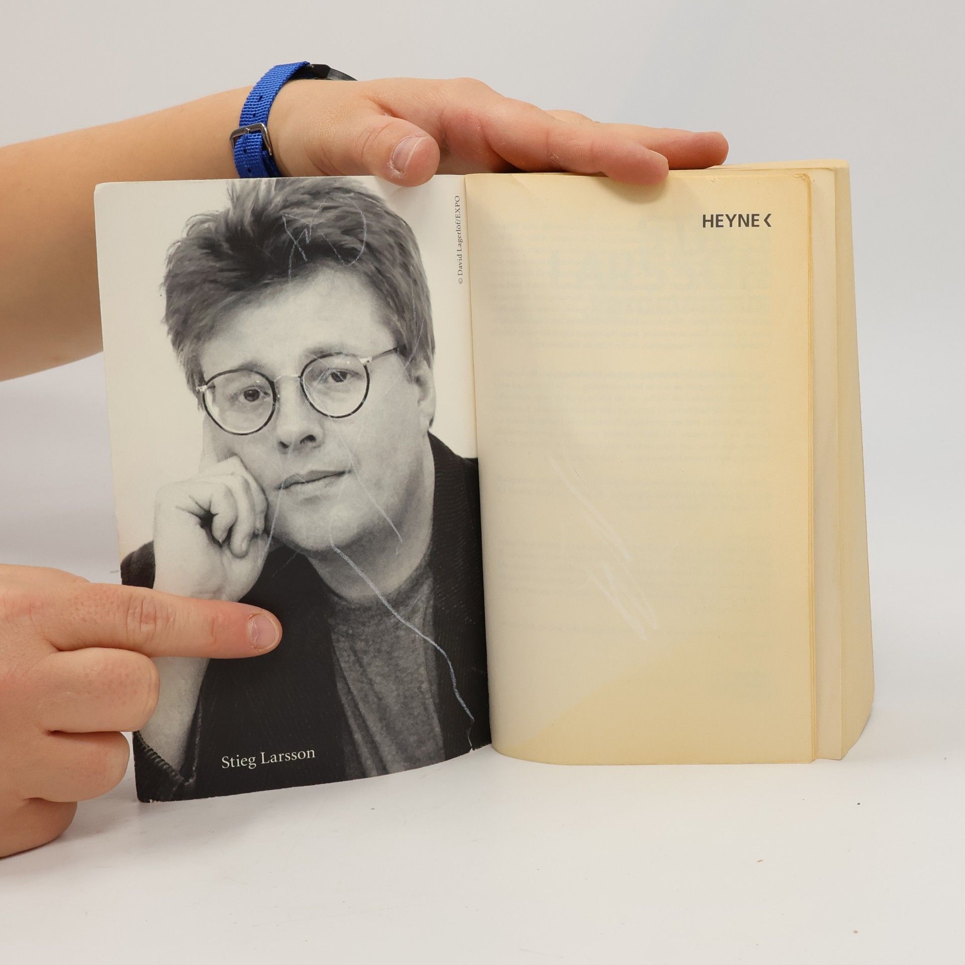 Stieg Larsson Verdammnis