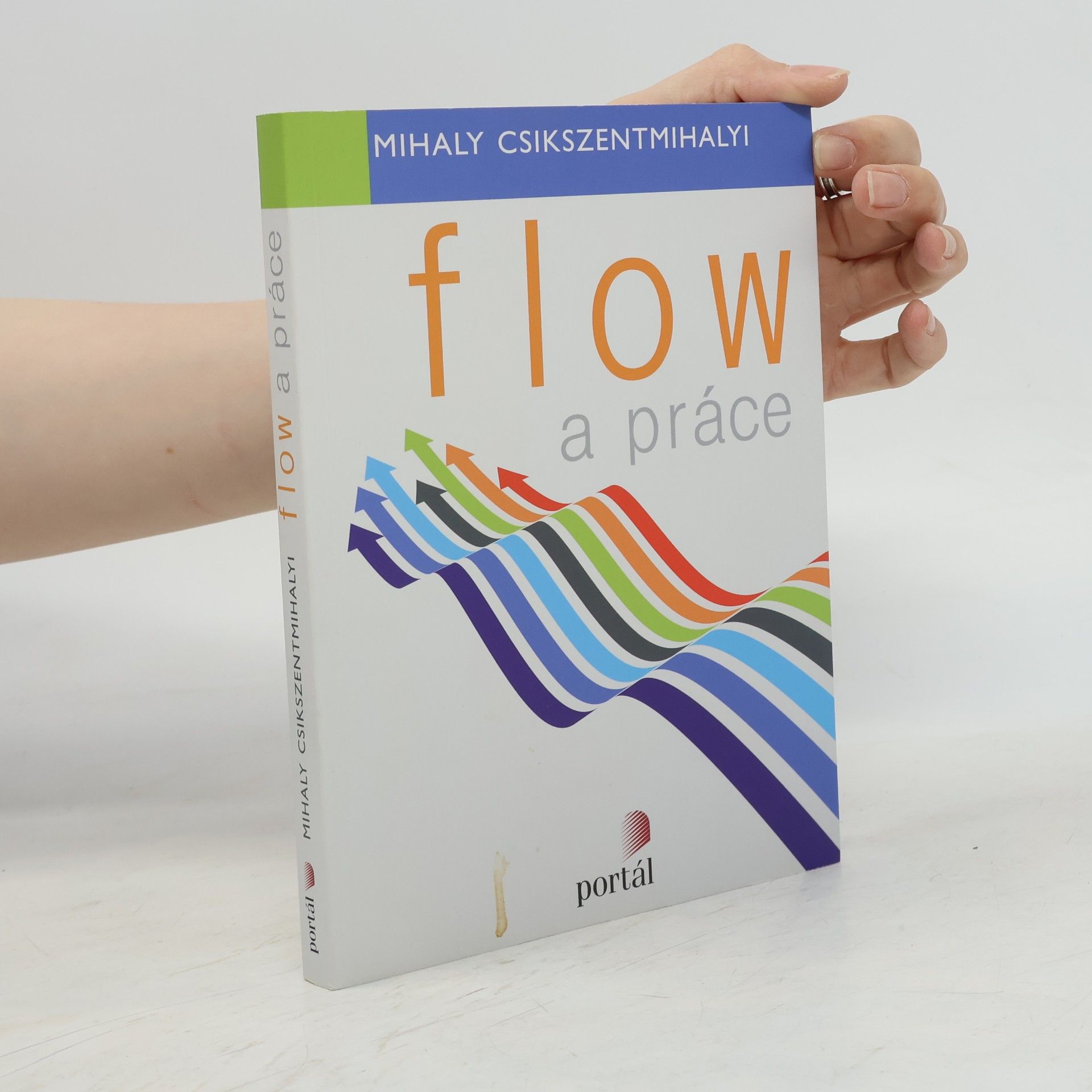 Mihaly Csikszentmihalyi Flow a práce