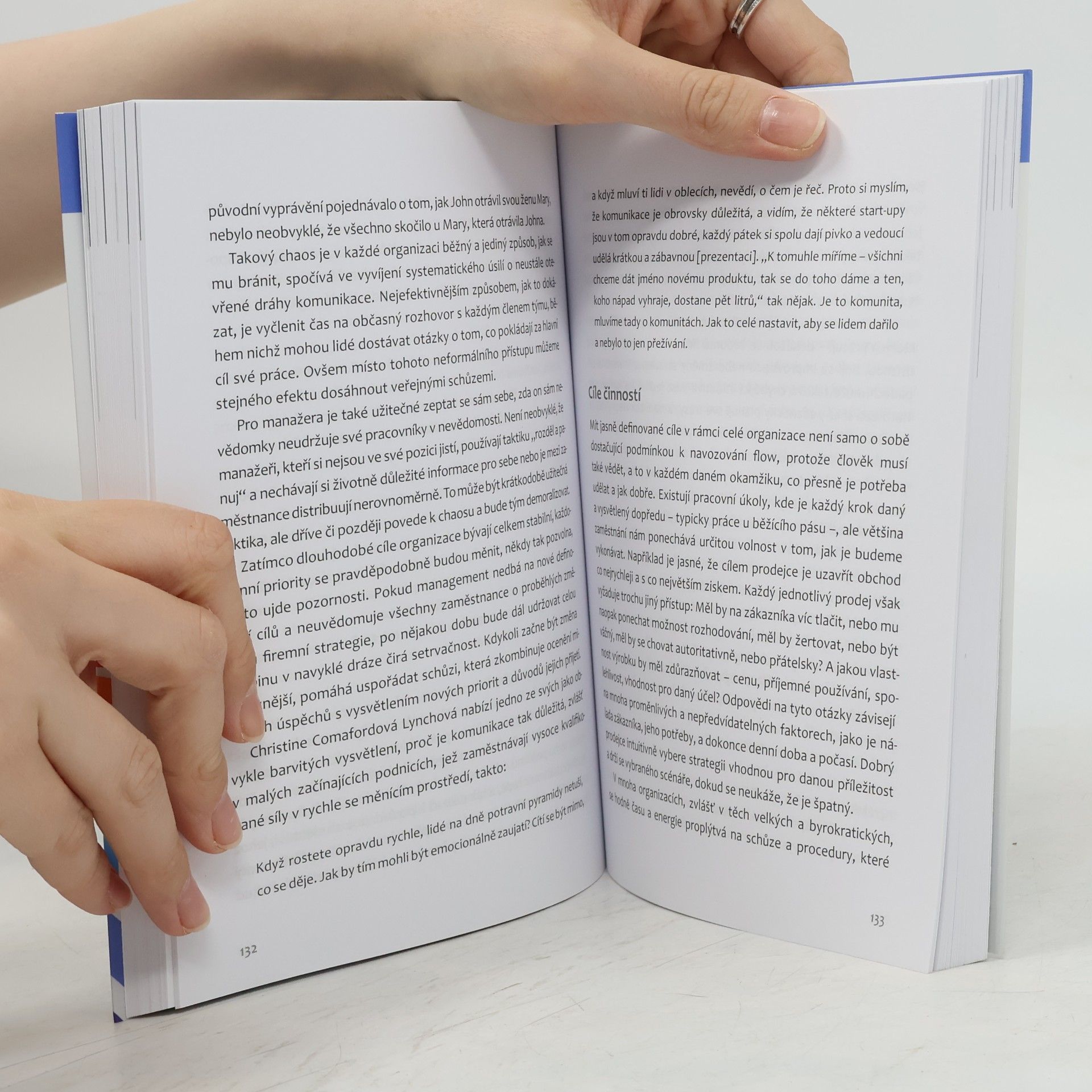 Mihaly Csikszentmihalyi Flow a práce
