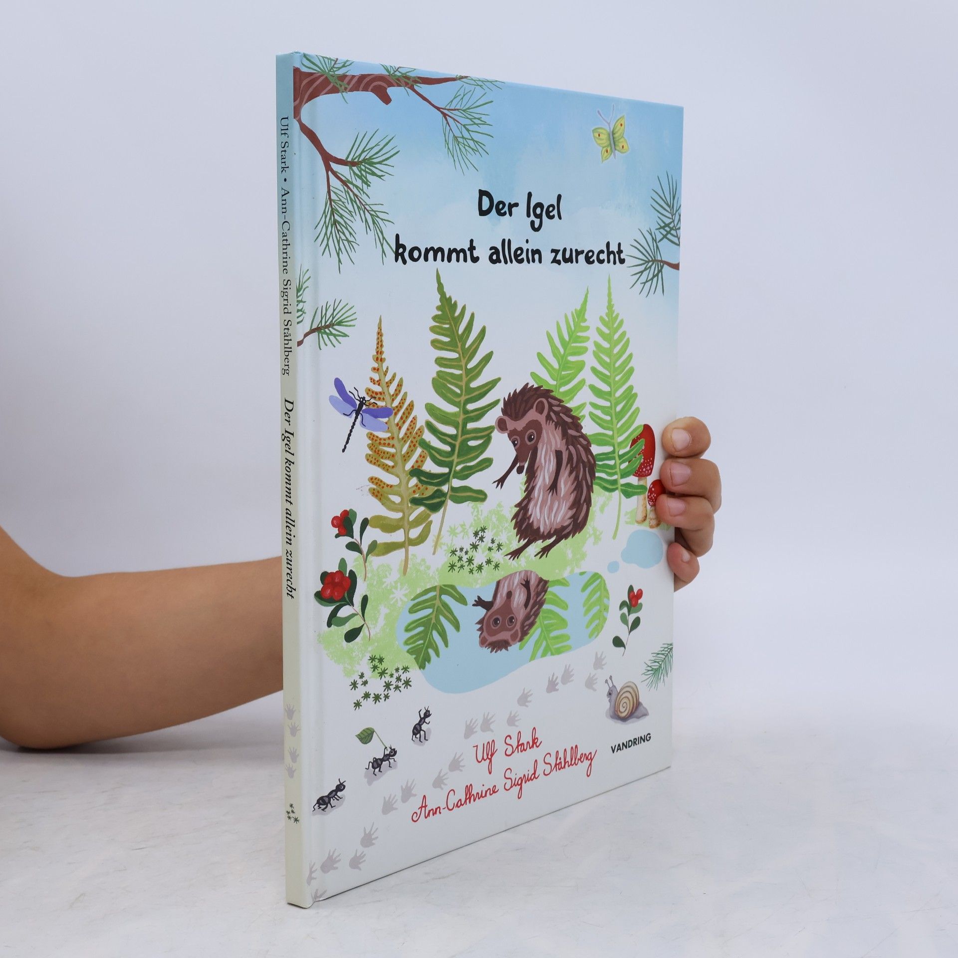 Autorenkollektiv Der Igel kommt allein zurecht