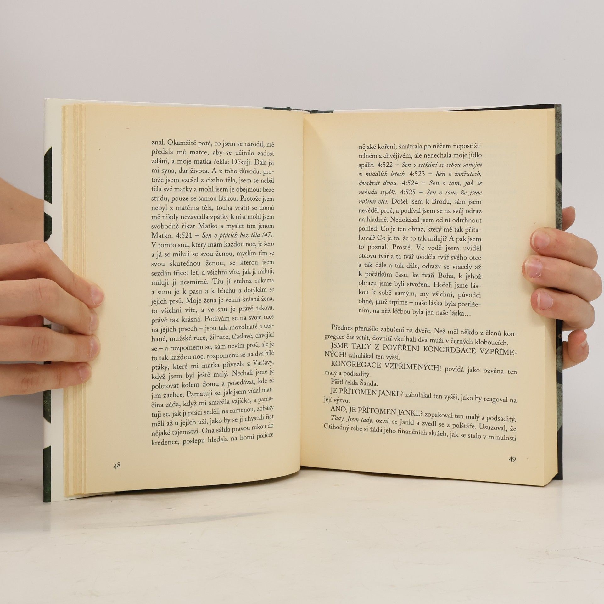 Jonathan Safran Foer Naprosto osvětleno