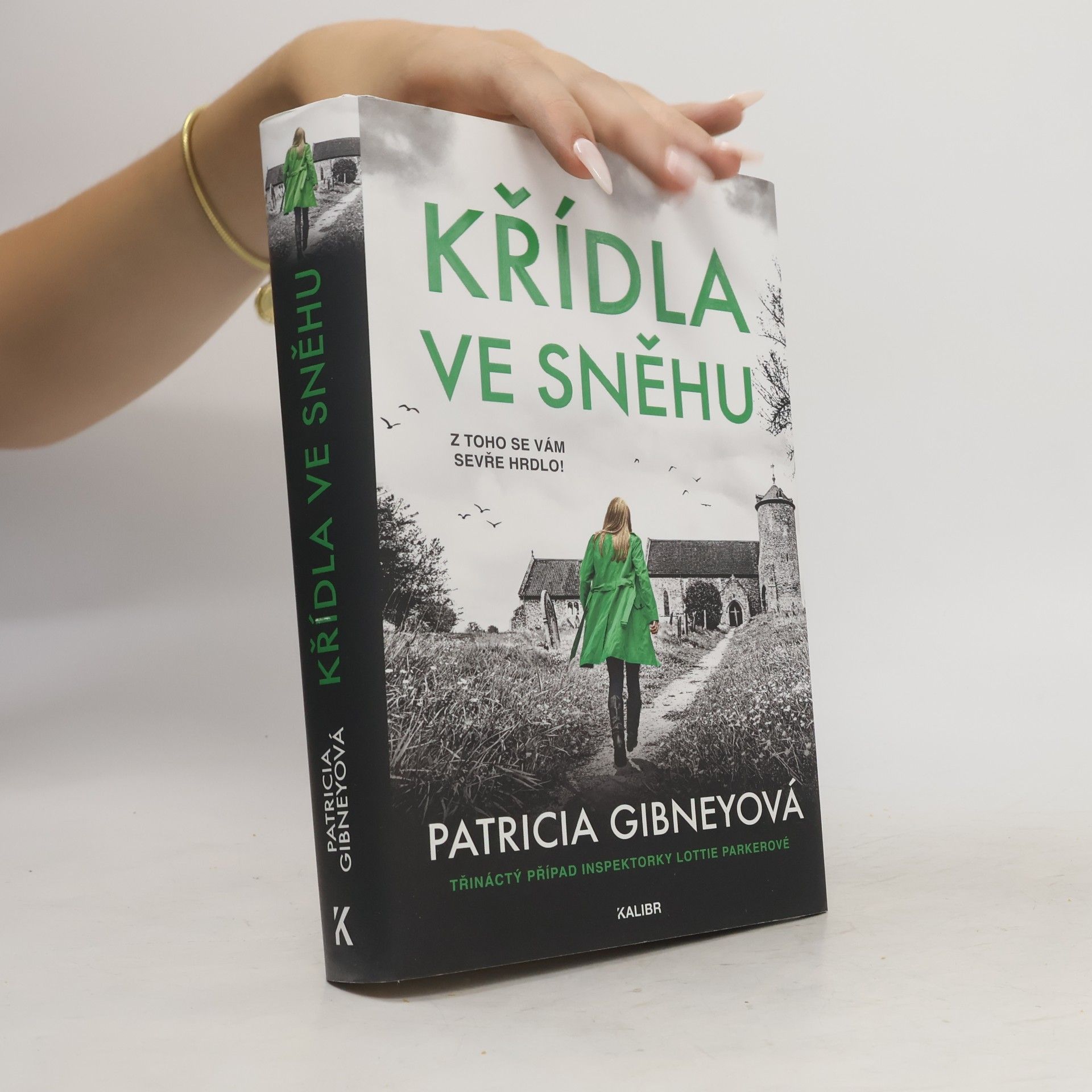 Patricia Gibney Křídla ve sněhu