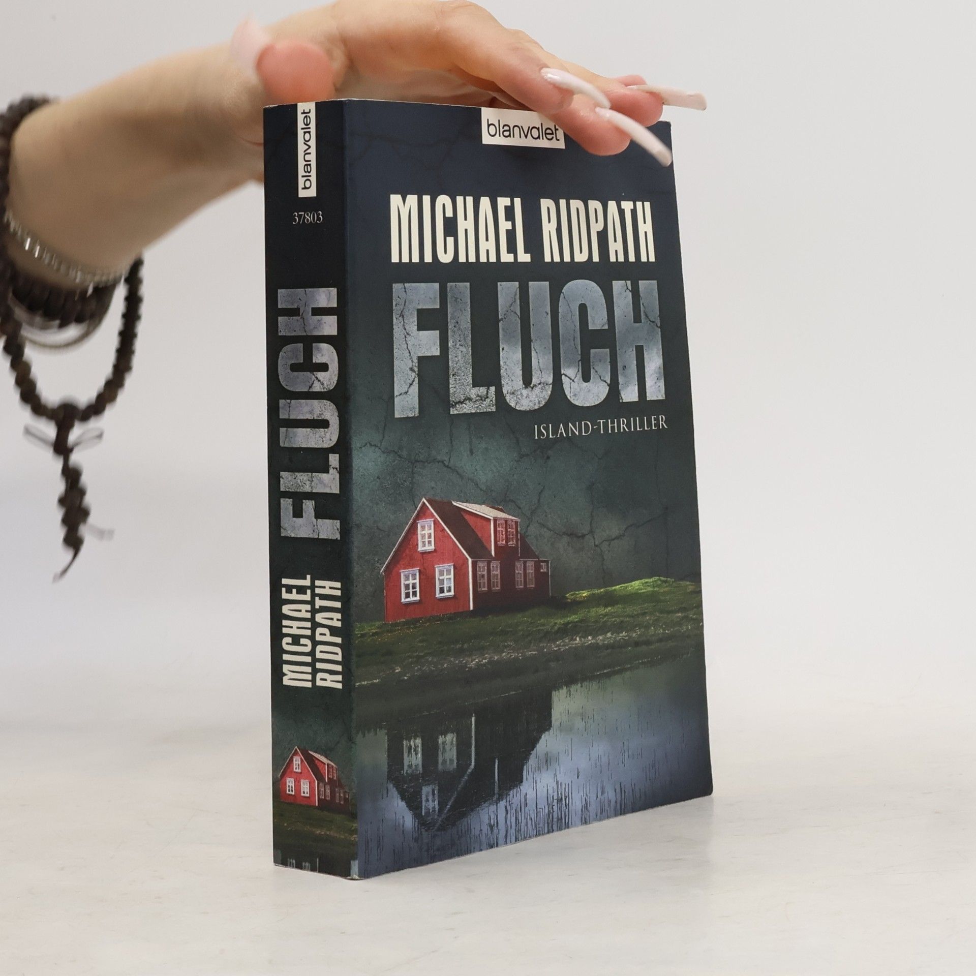 Michael Ridpath Fluch