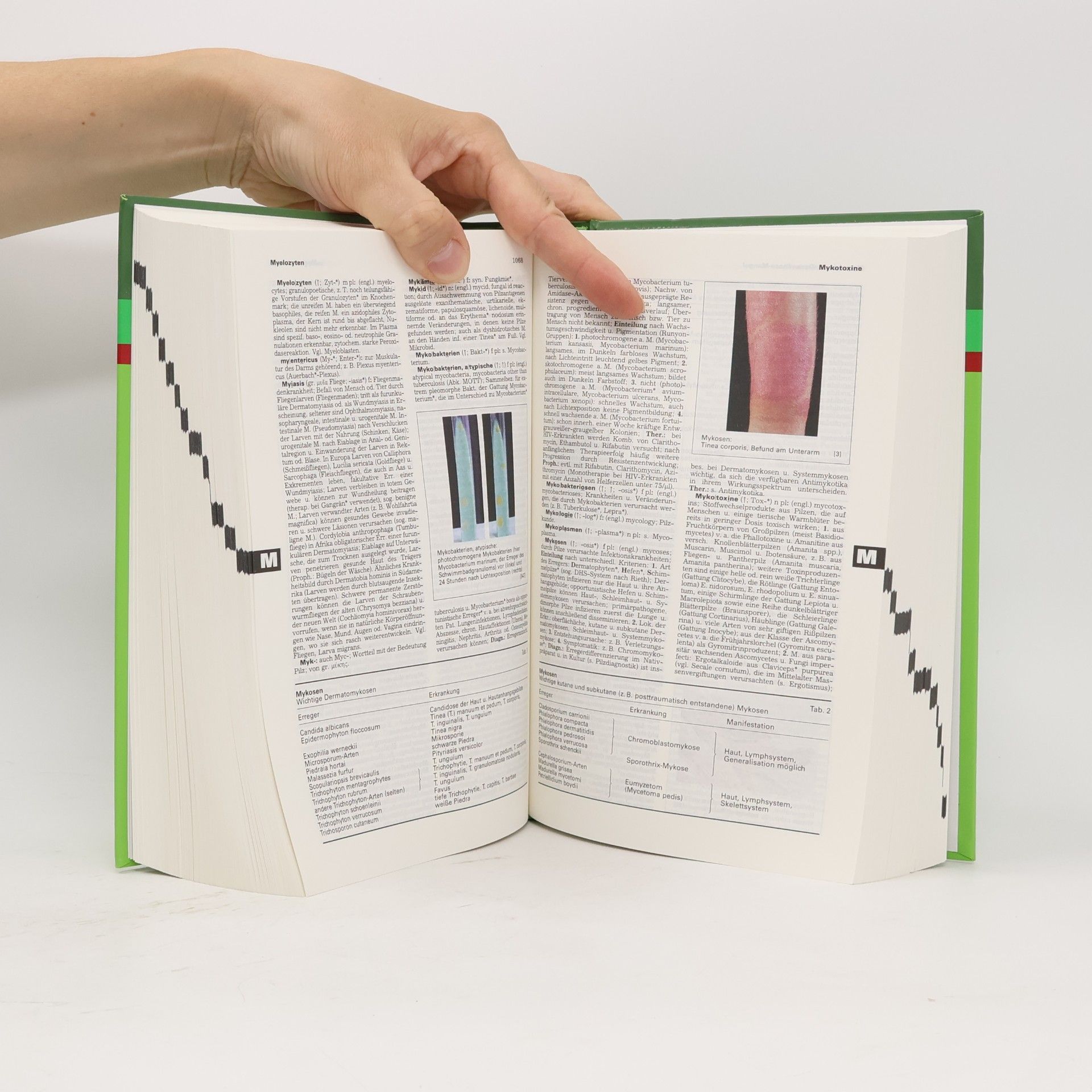 Autorenkollektiv Pschyrembel. Klinisches Wörterbuch 258