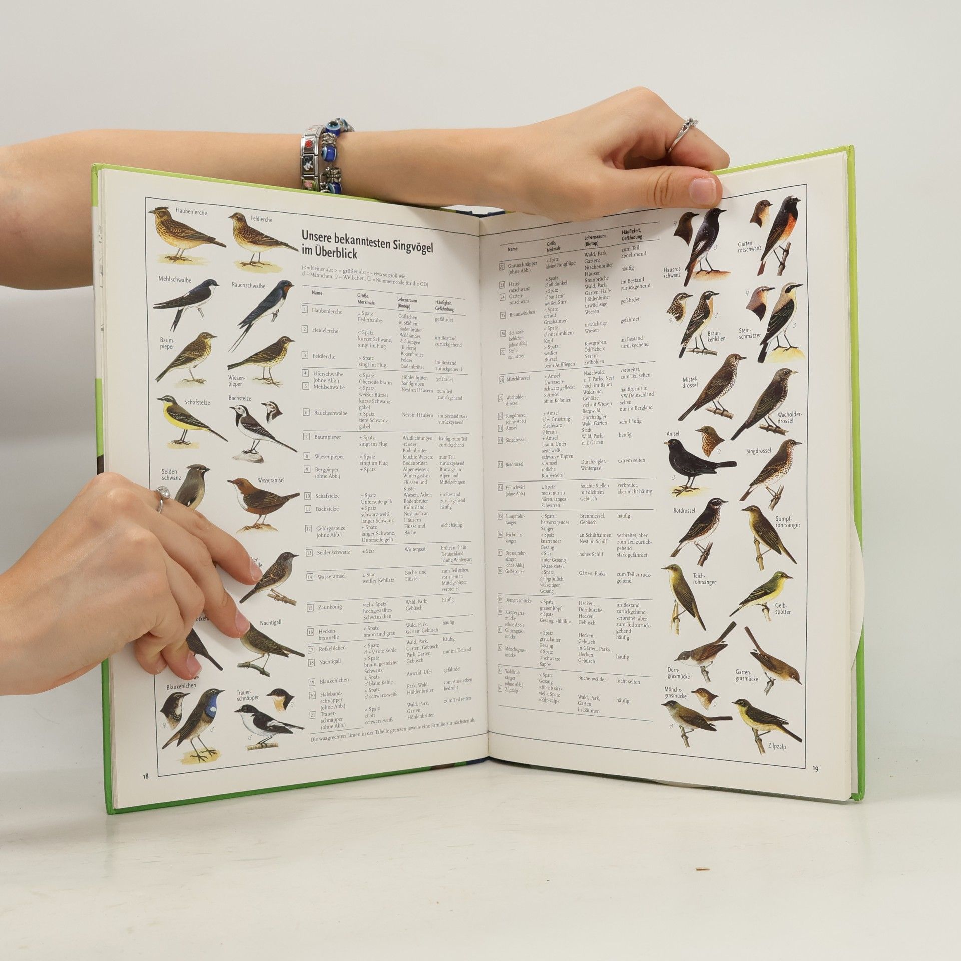 Autorenkollektiv Vögel in unserem garten
