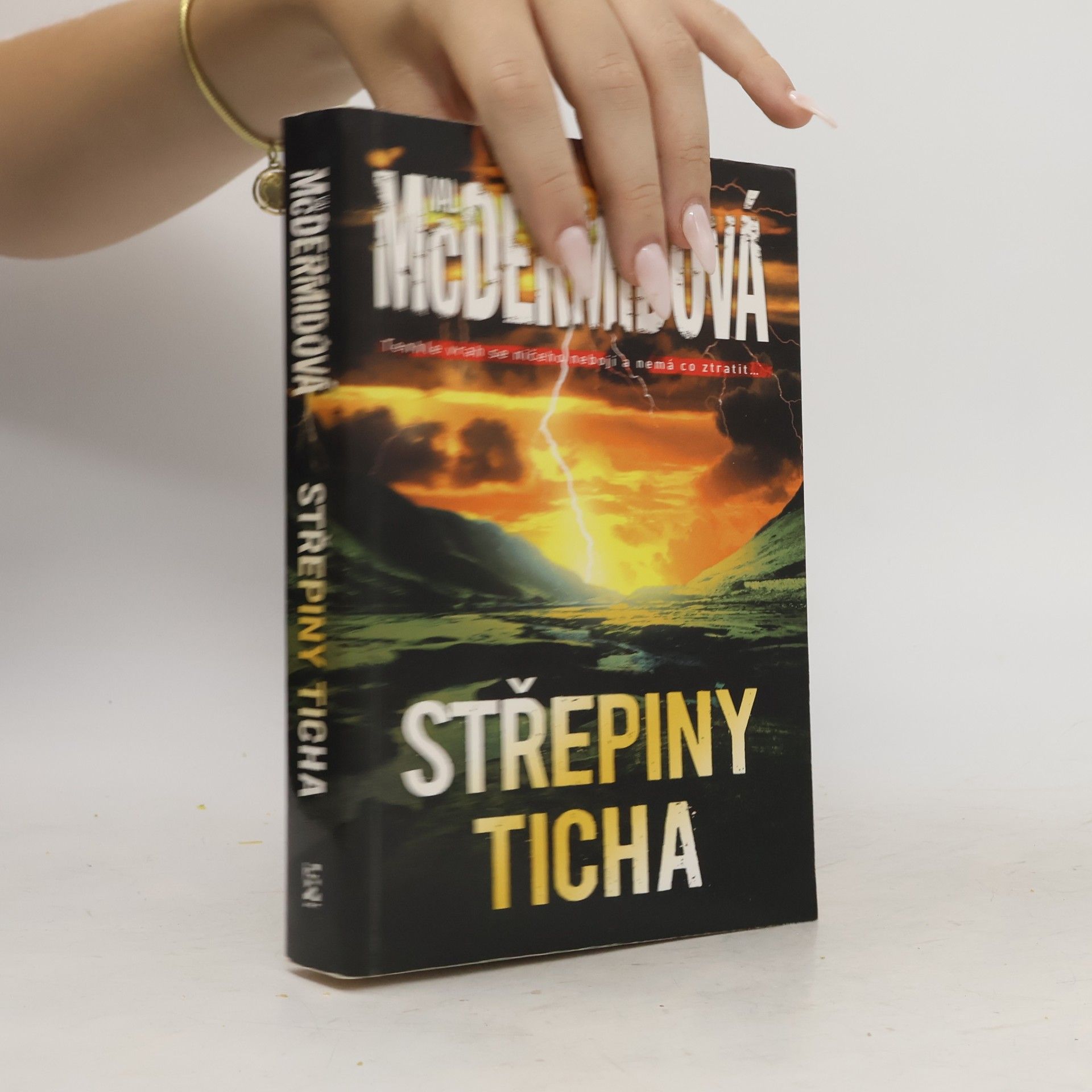 Val McDermid Střepiny ticha