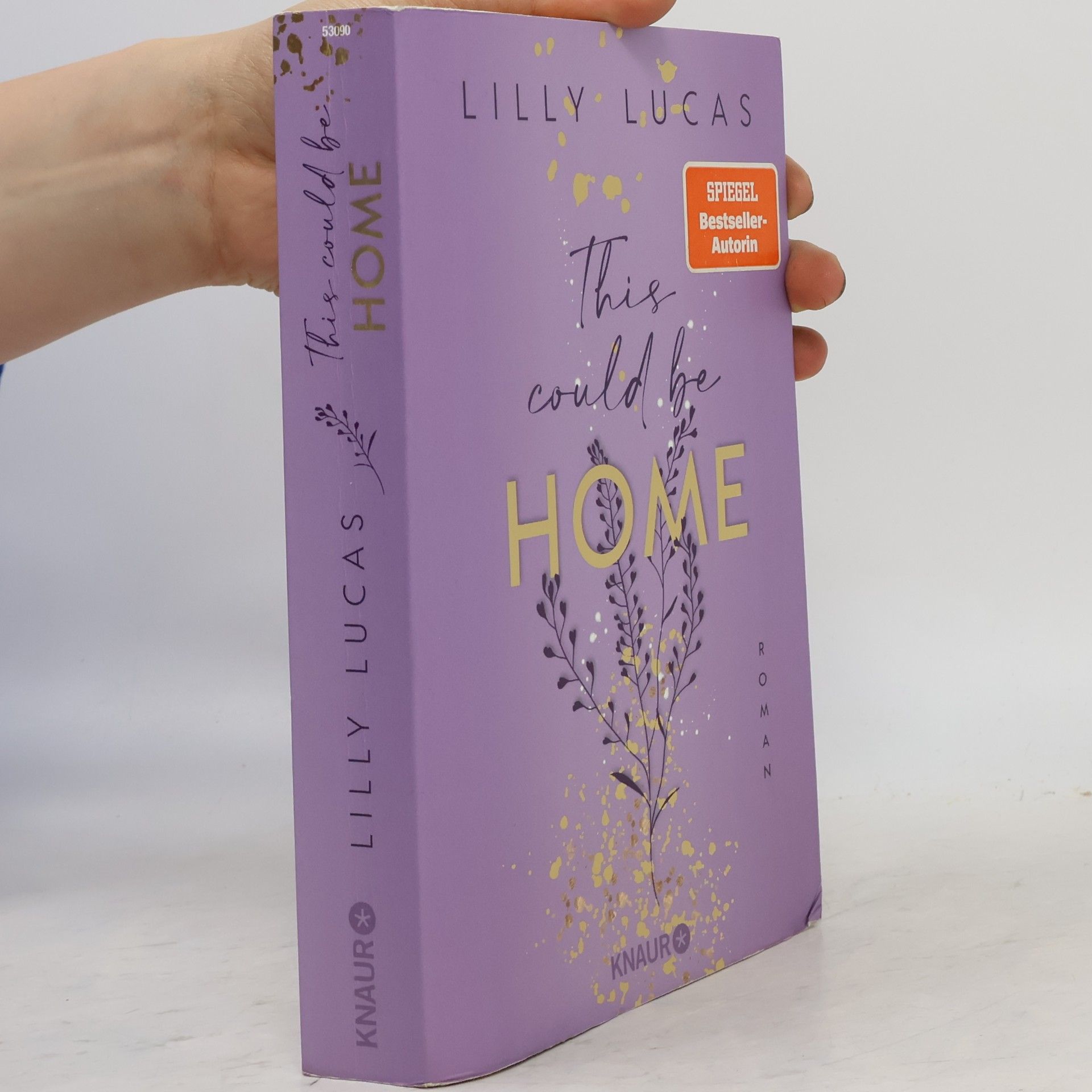 Lilly Lucas This could be home / Hawaii Love Bd.2