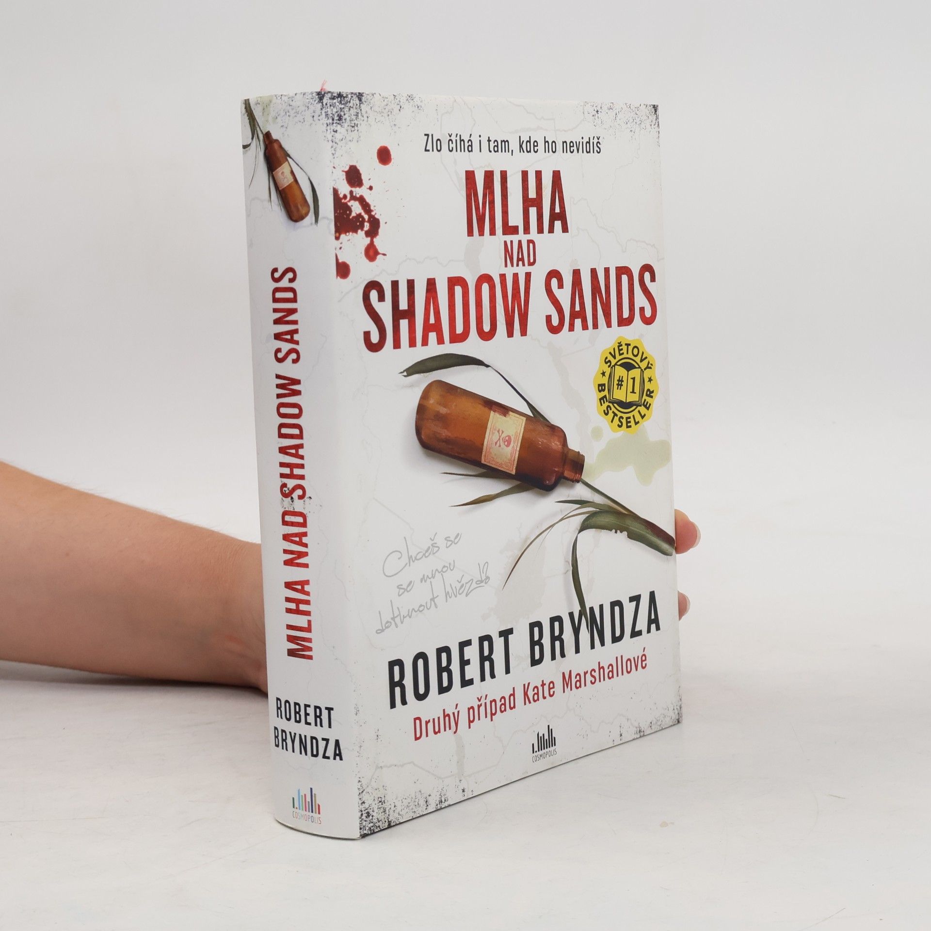 Robert Bryndza Mlha nad Shadow Sands