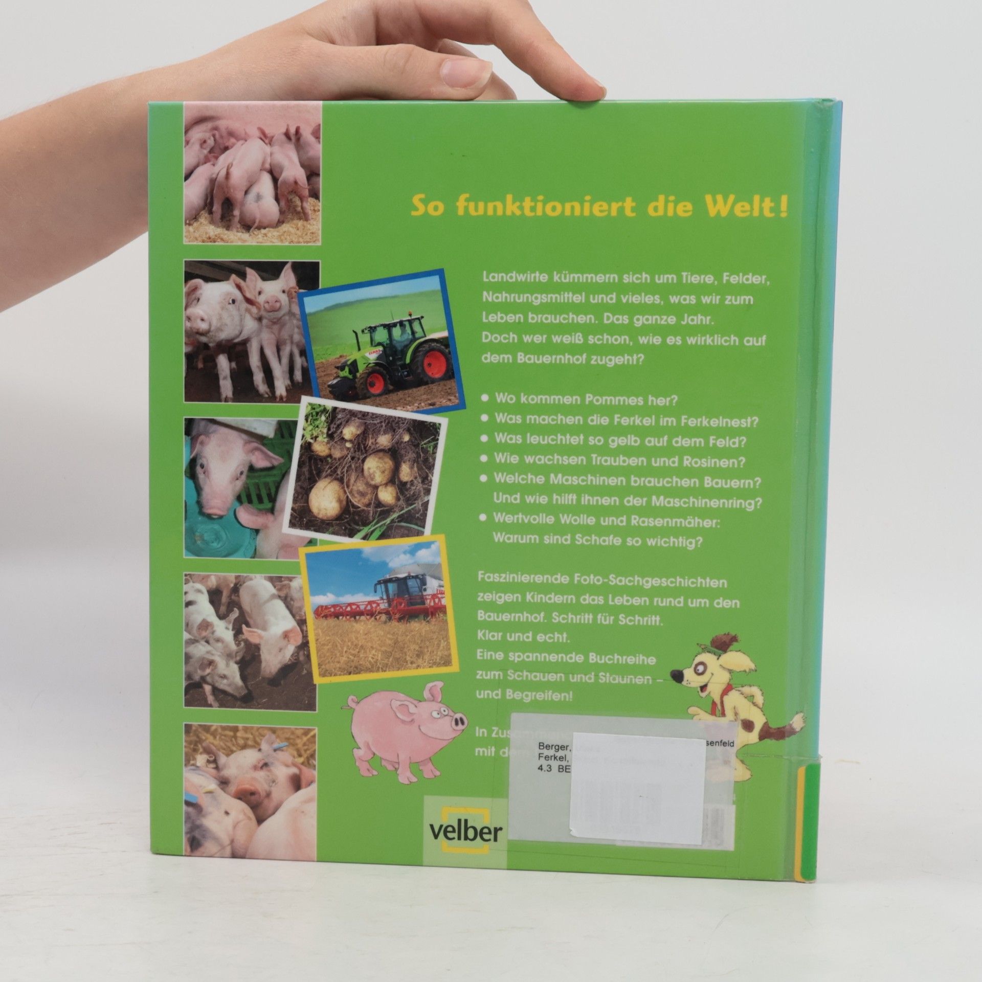 Unknown Author Schauen und staunen. Ferkel, Schaf, Kartoffelernte