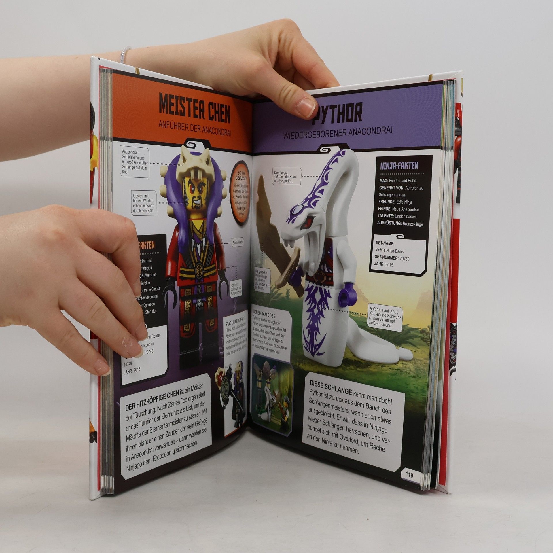Autorenkollektiv Ninjago Masters of Spinjitzu: LEGO® NINJAGO® Lexikon der Minifiguren