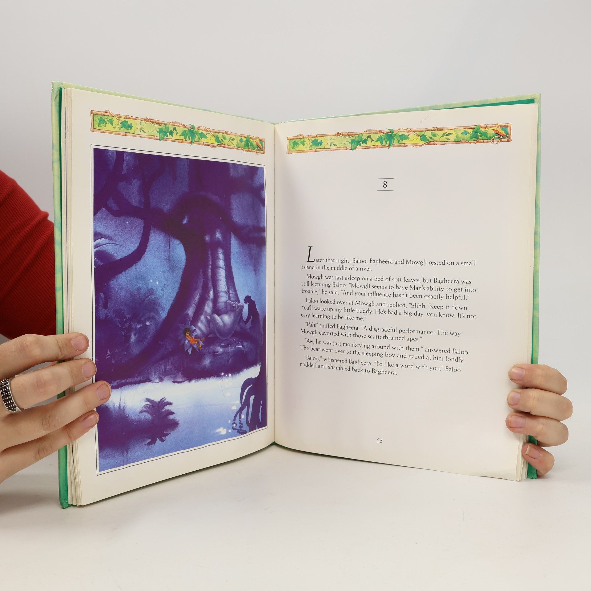 Autorenkollektiv The Jungle Book
