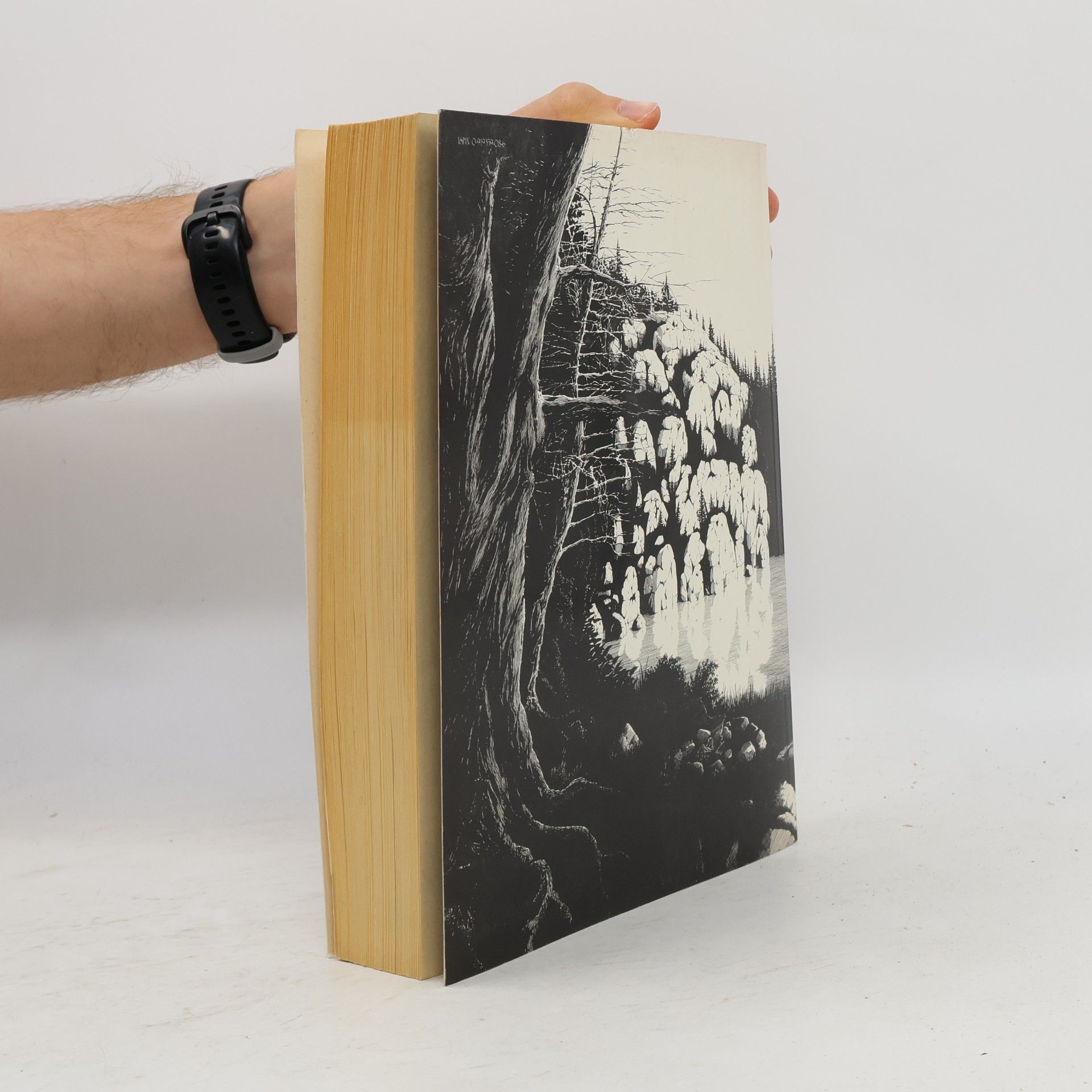 Dave Sim Church and state volume 2