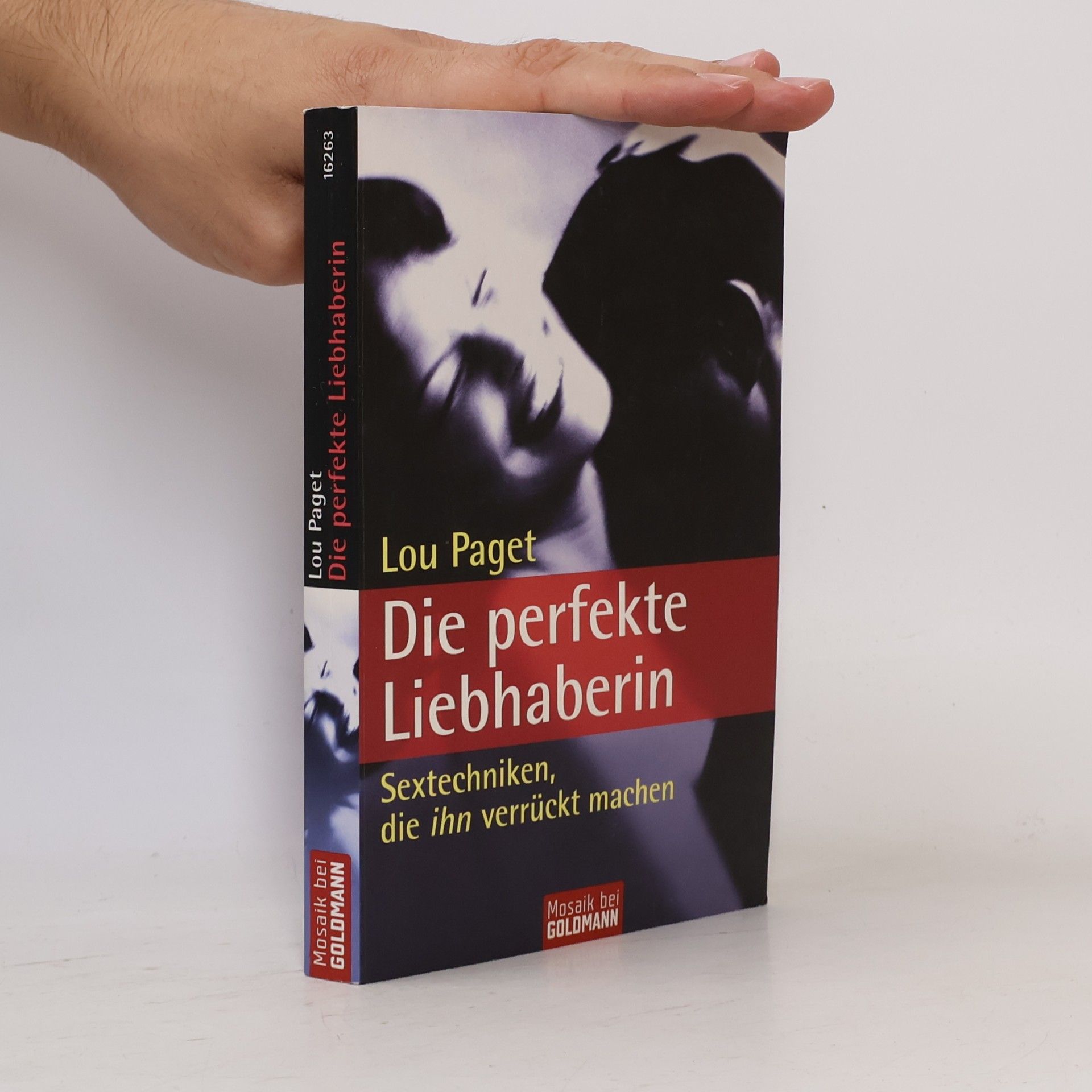 Lou Paget Die perfekte Liebhaberin