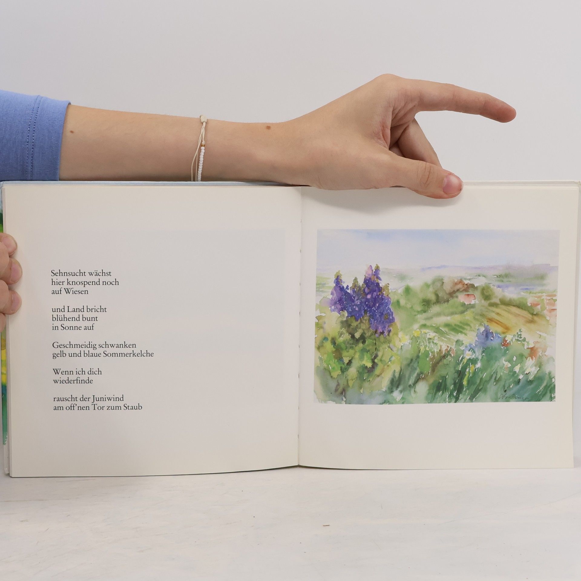 Doris Stockmar Sommerlandschaften