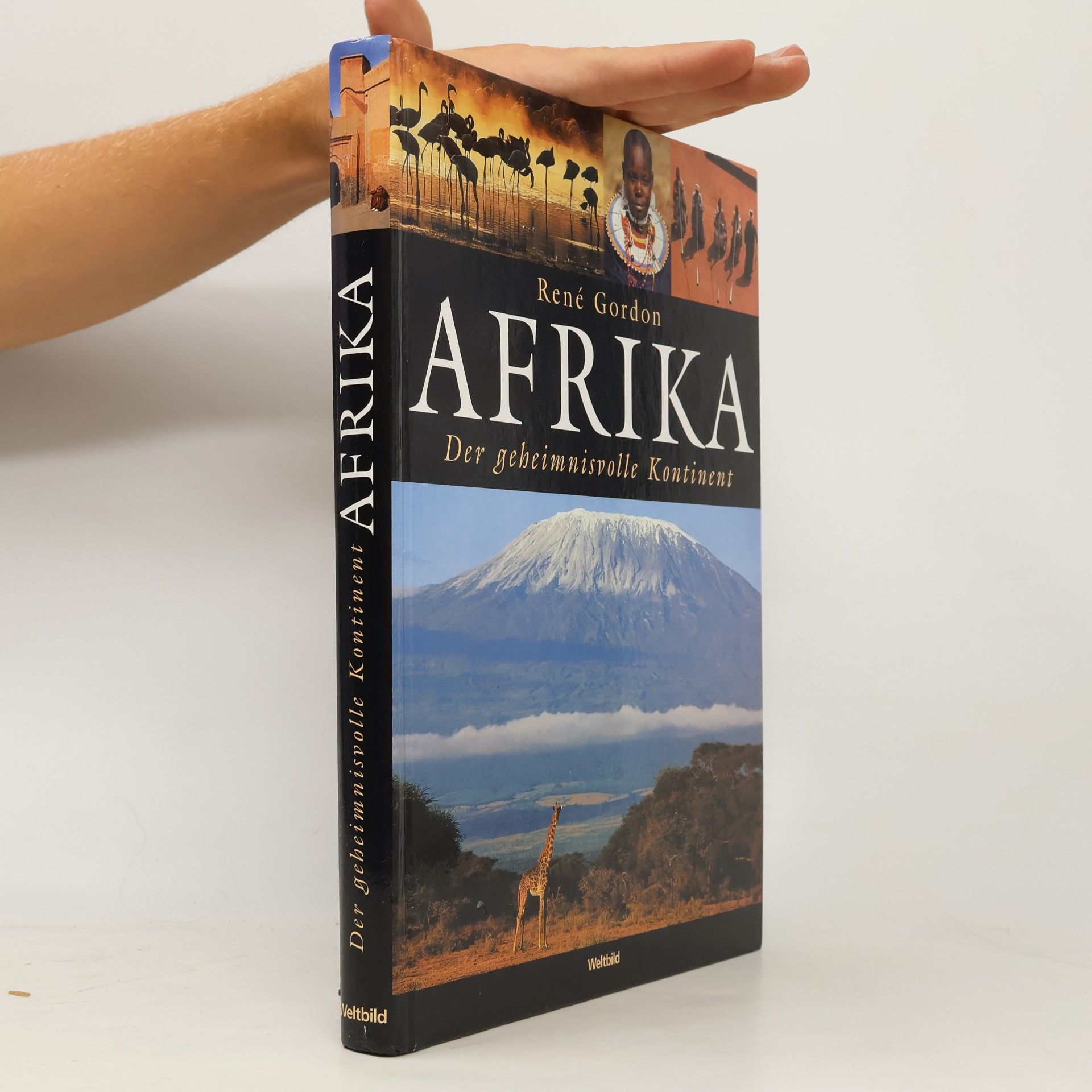 Rene Gordon Afrika