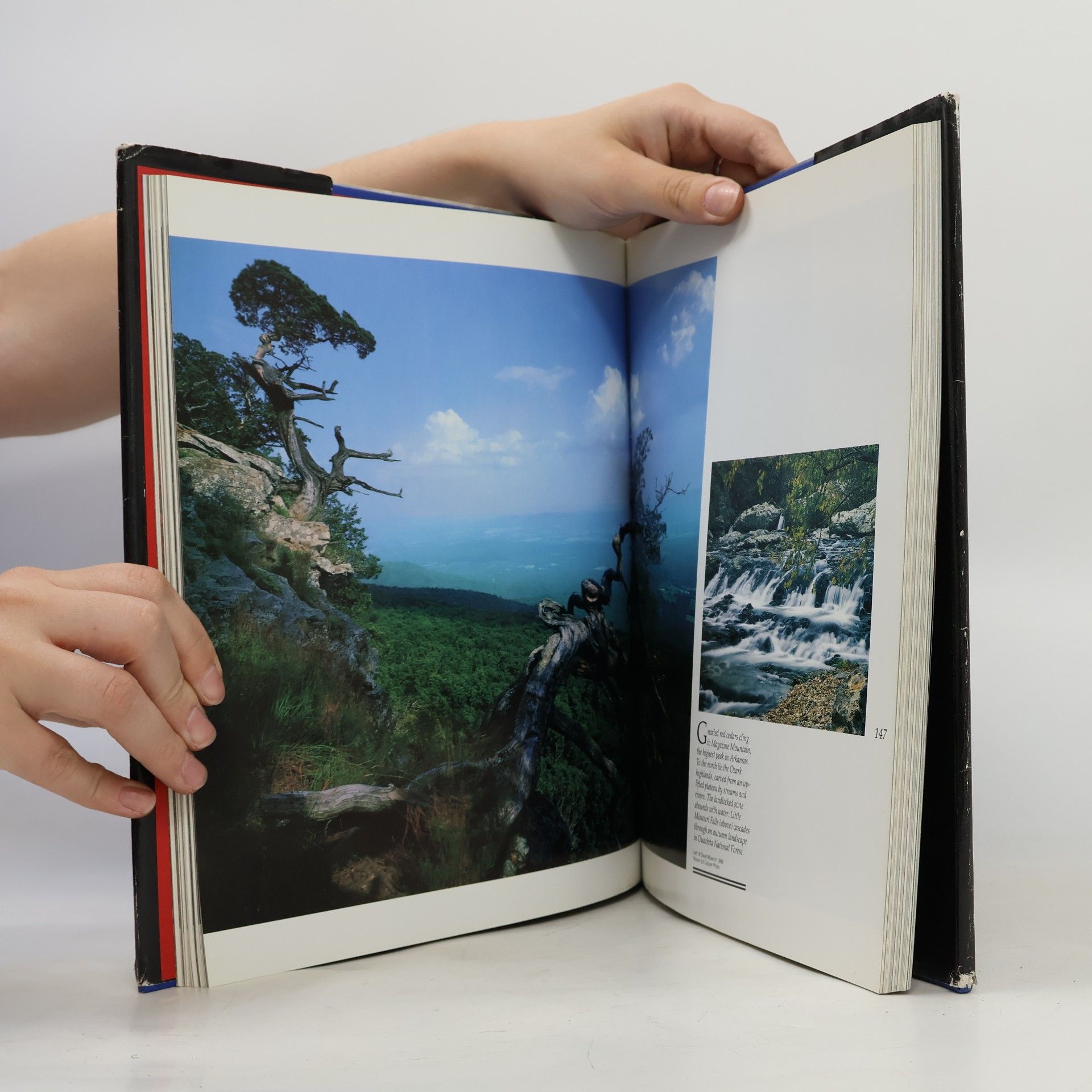 Autorenkollektiv Discover America! A Scenic Tour of the Fifty States