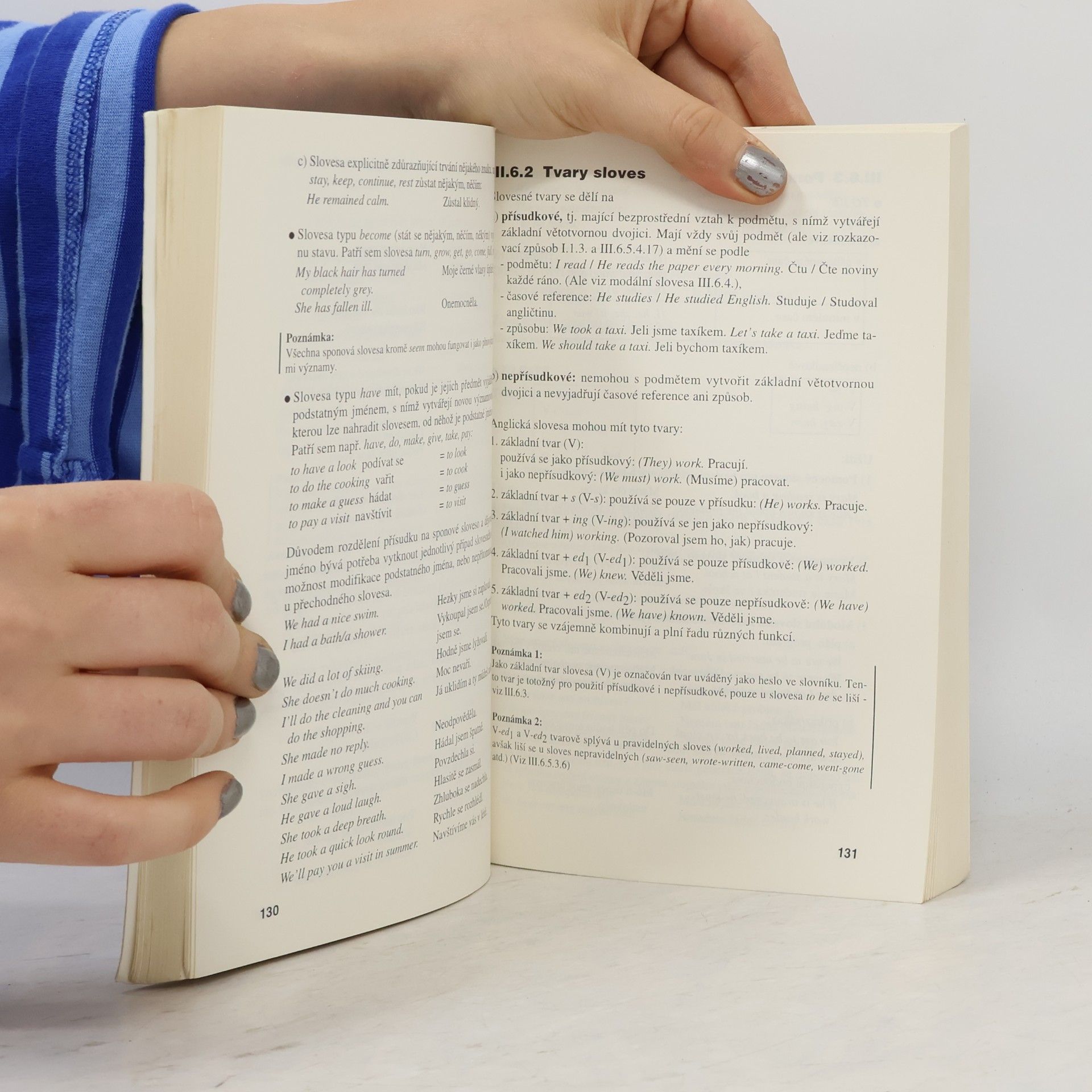 Strnadová Zdenka Mluvnice angličtiny. Professional English Grammar Book