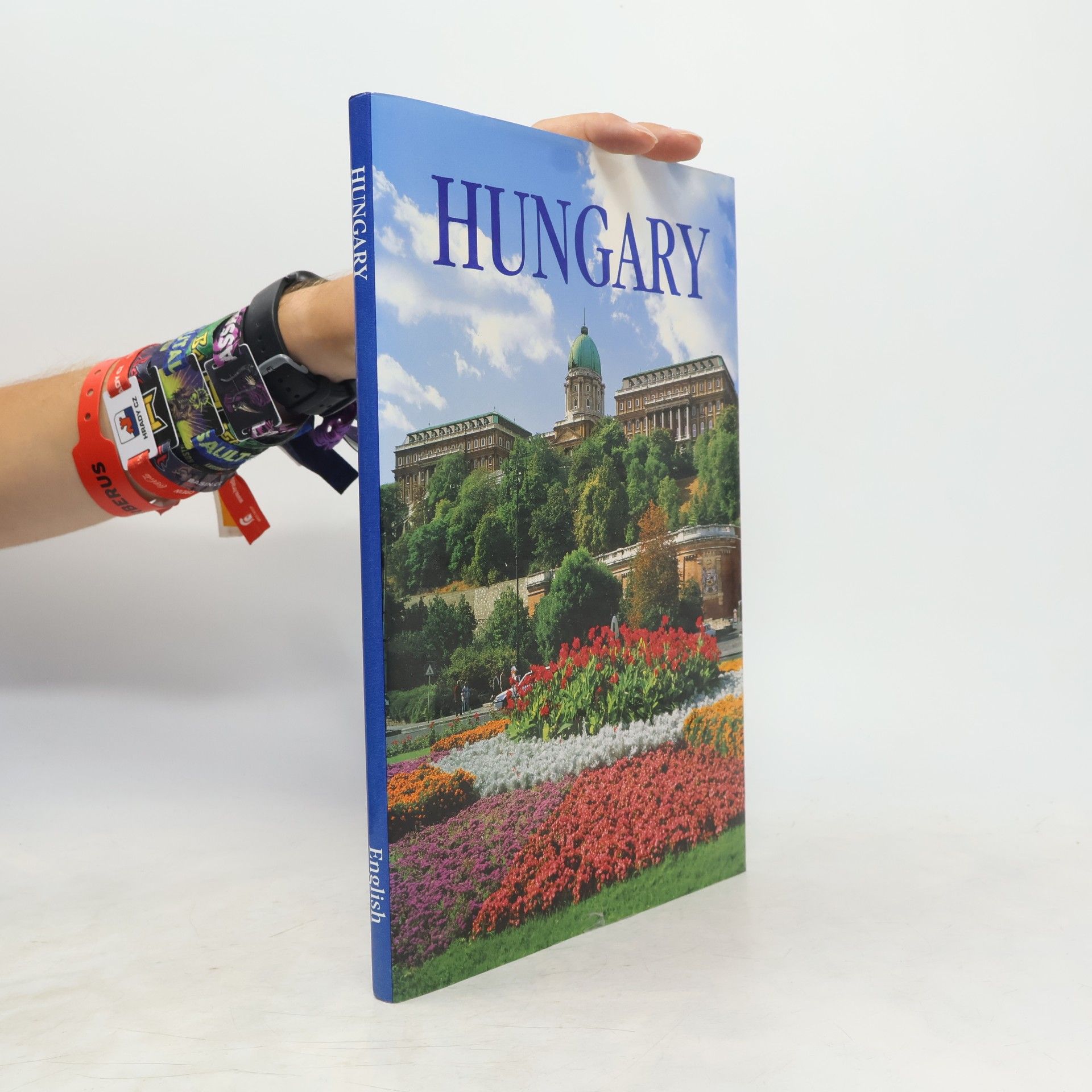 Stephen Anthony Hungary : landscapes and town, aerial and ground views