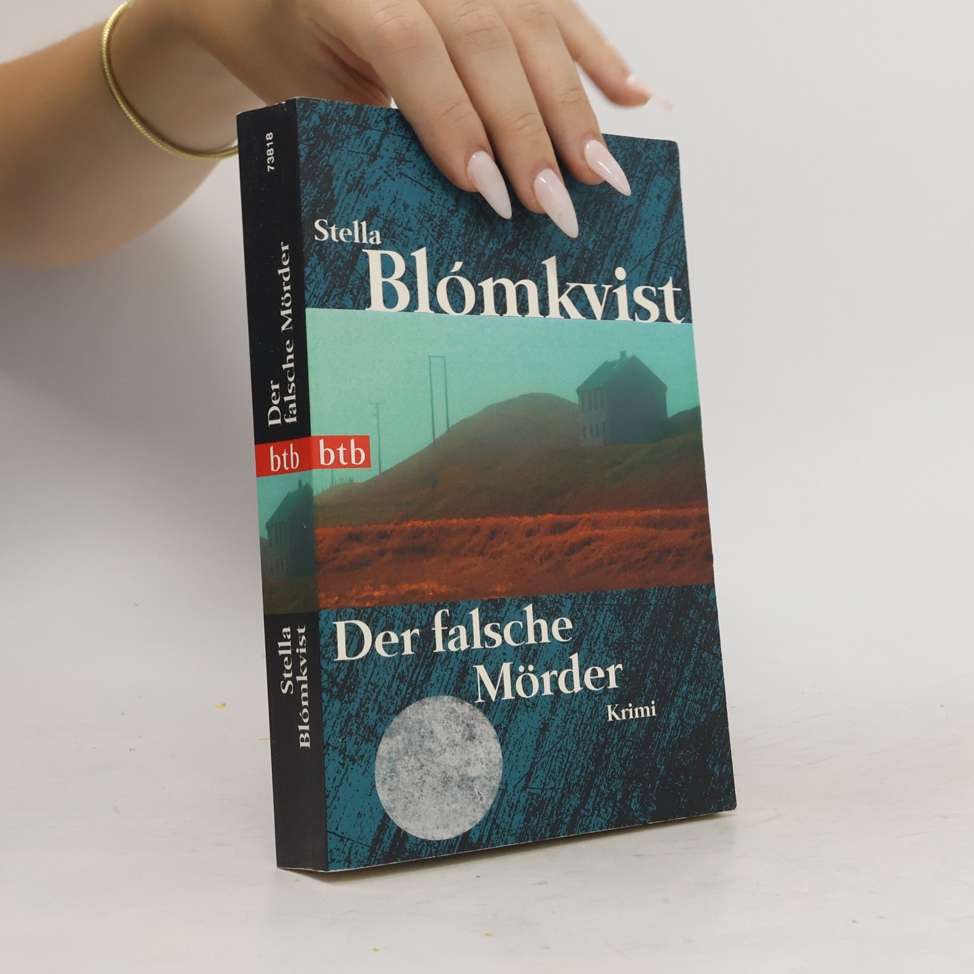Stella Blómkvist Der falsche Mörder