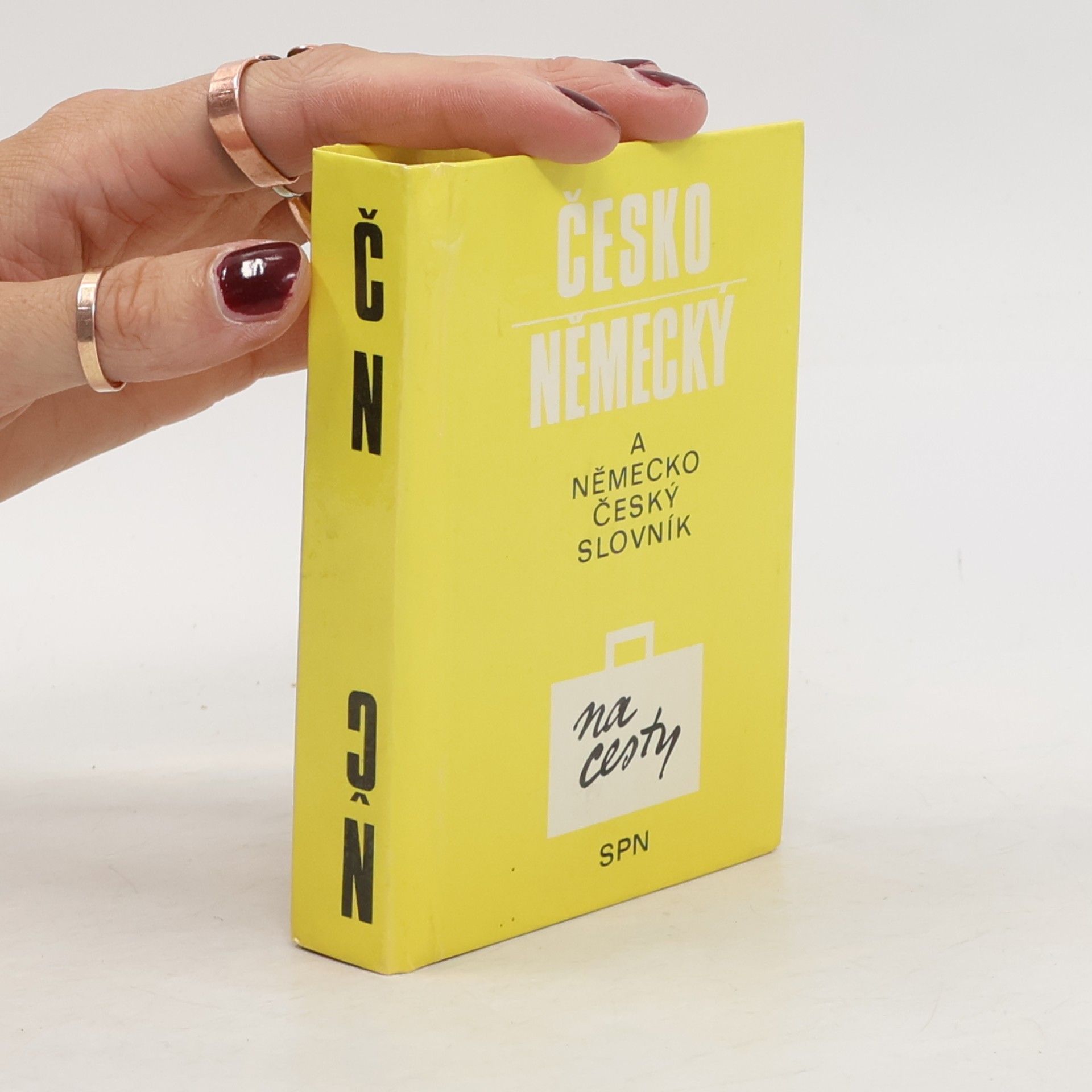 Dagmar Pleská Česko-německý a německo-český slovník na cesty