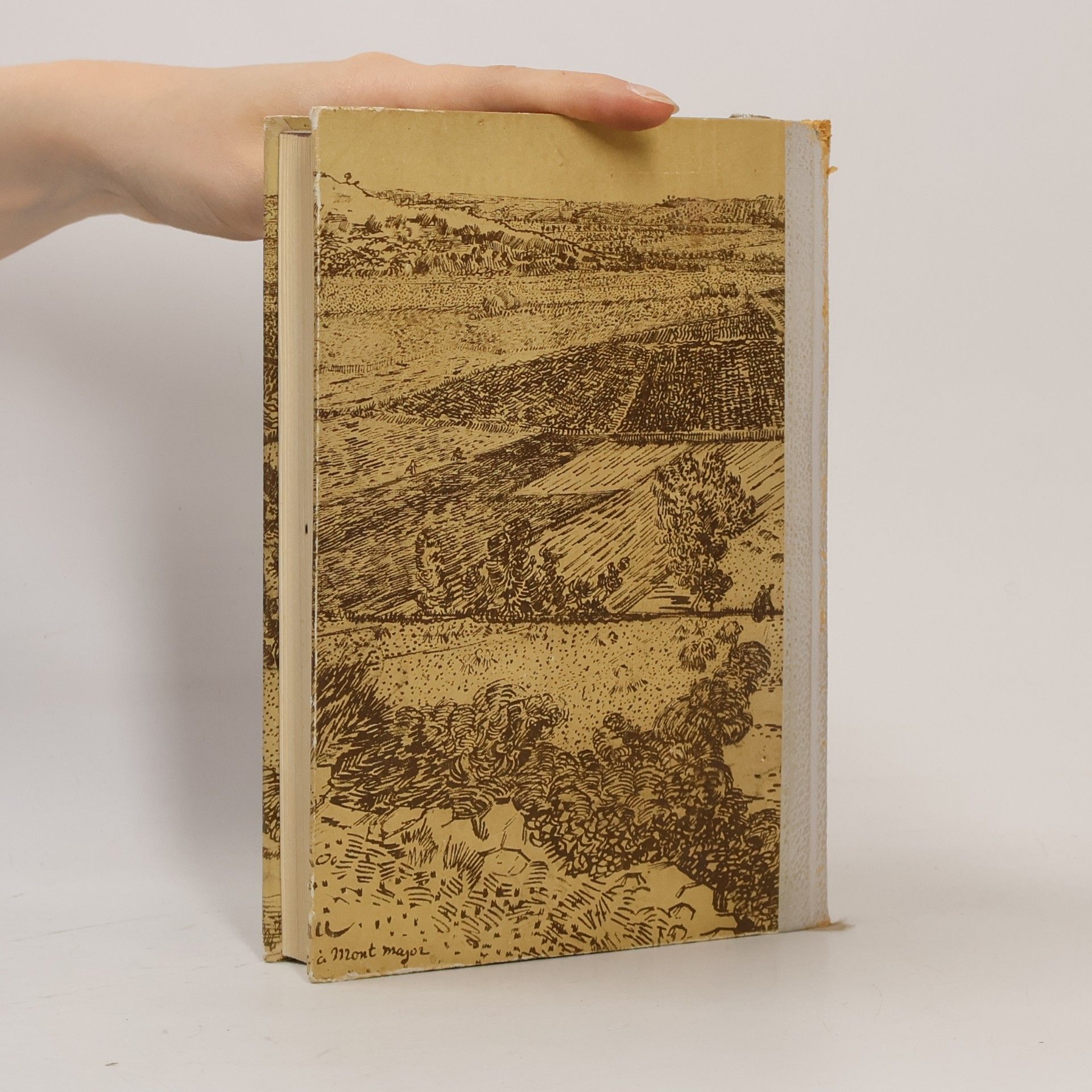 Irving Stone Vincent van Gogh