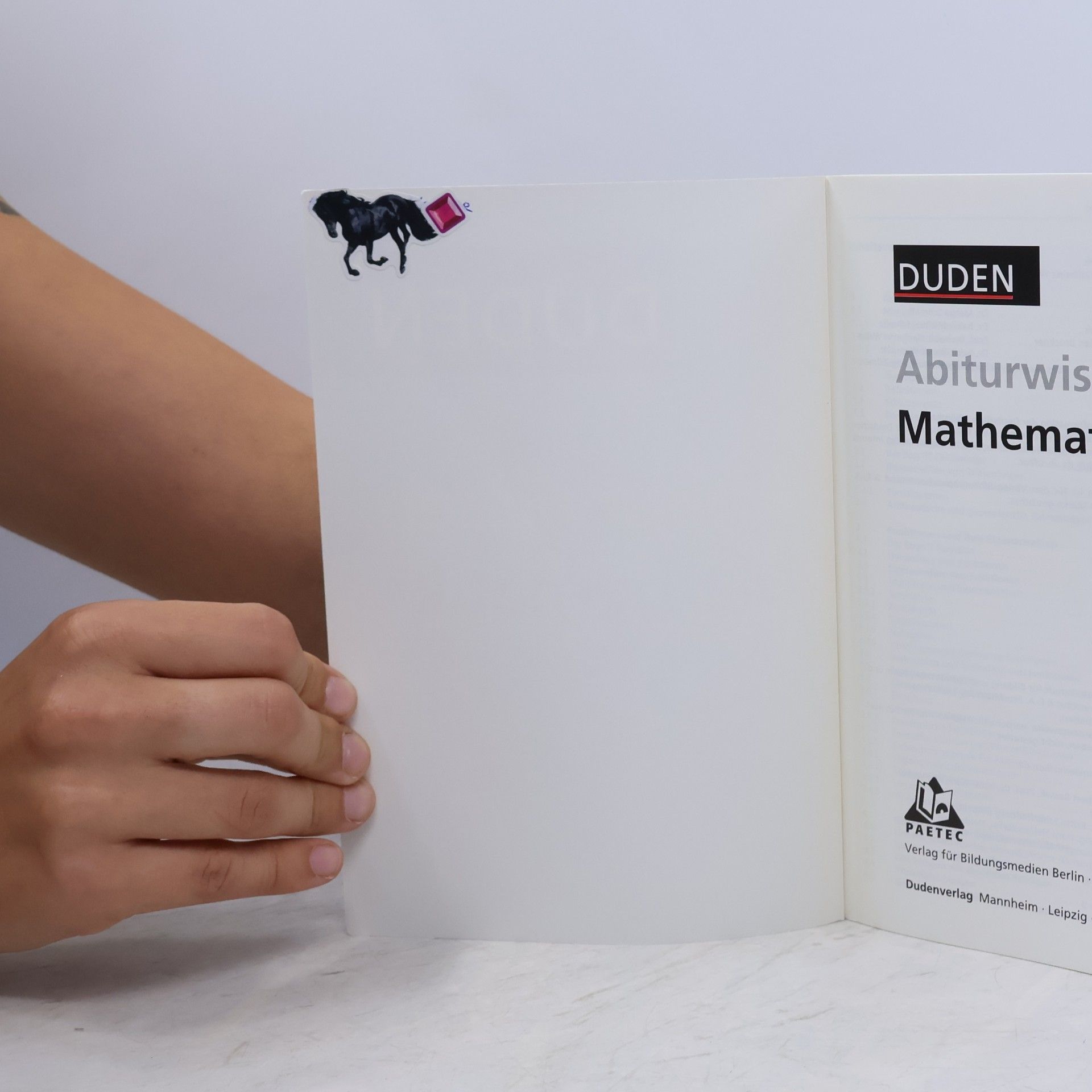Autorenkollektiv Abiturwissen Mathematik
