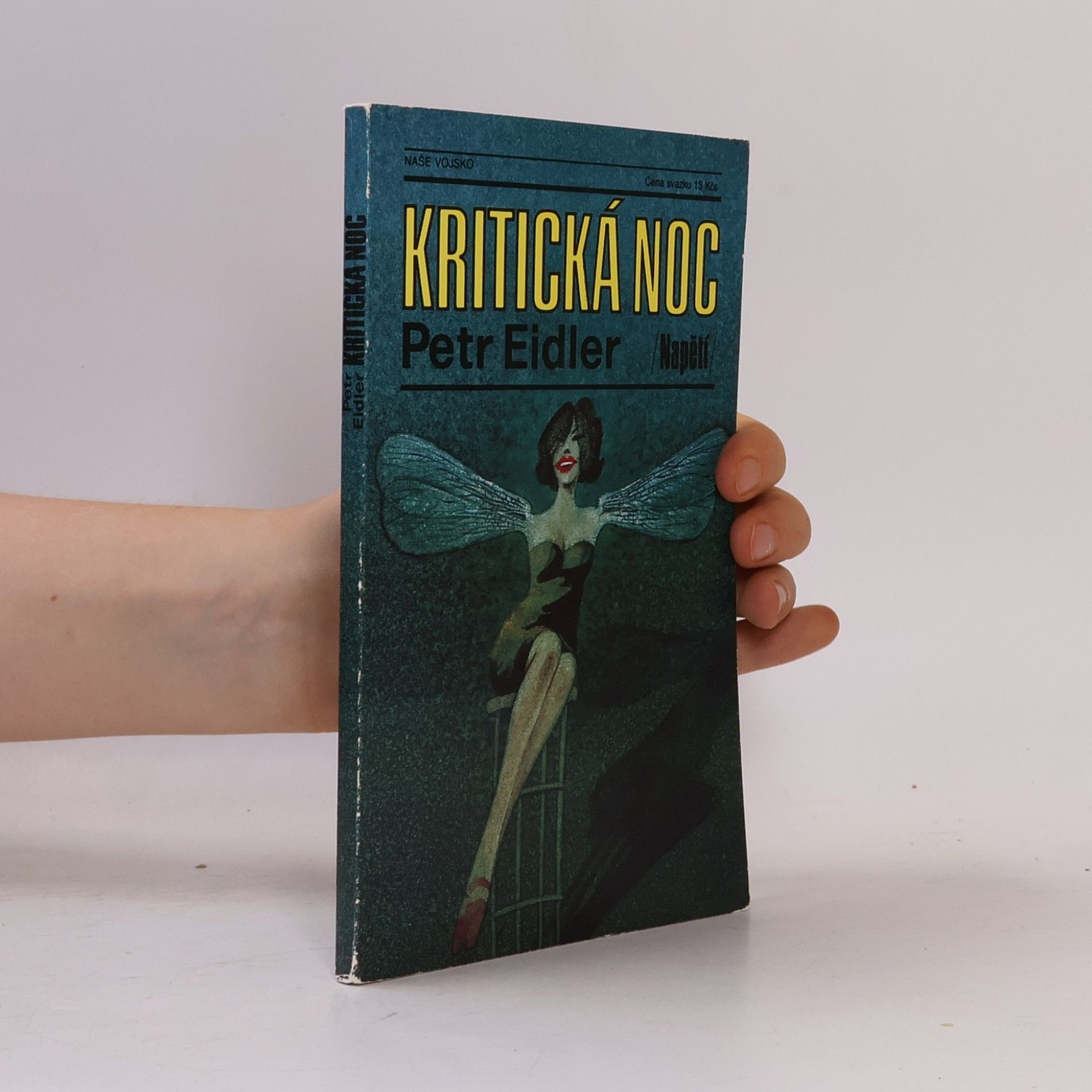 Petr Eidler Kritická noc