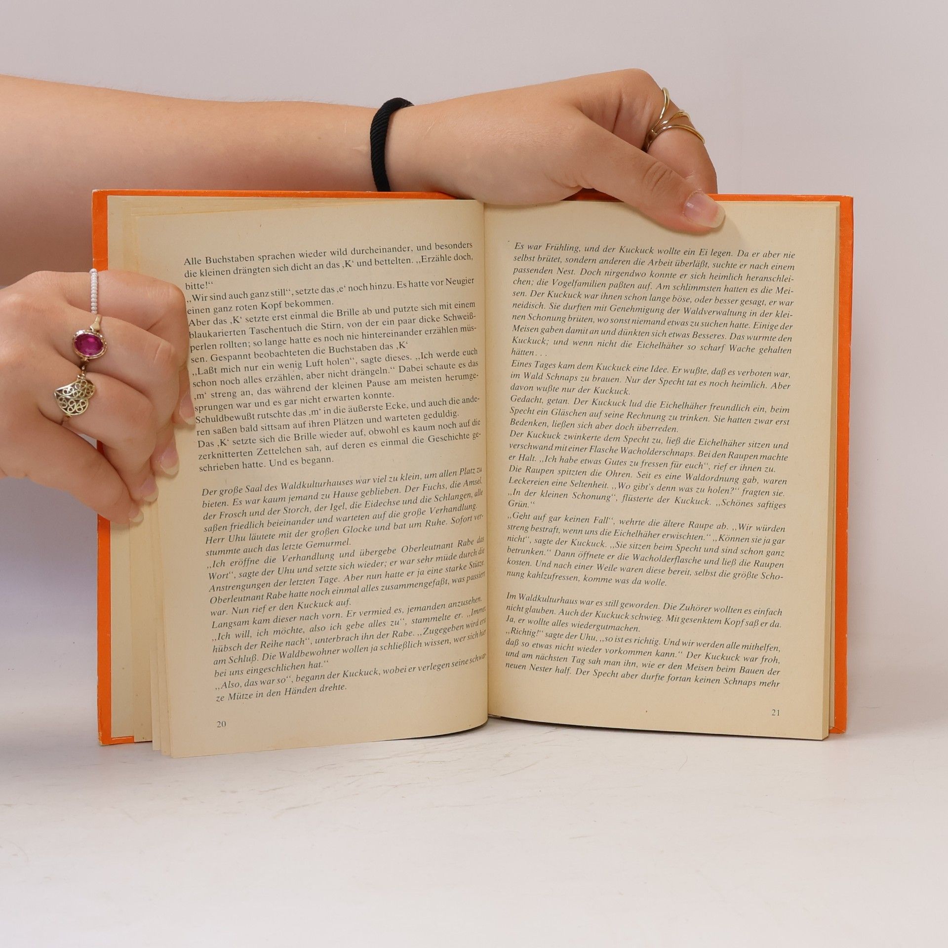 Dagmar Schwintowsky Die Buchstabenkiste