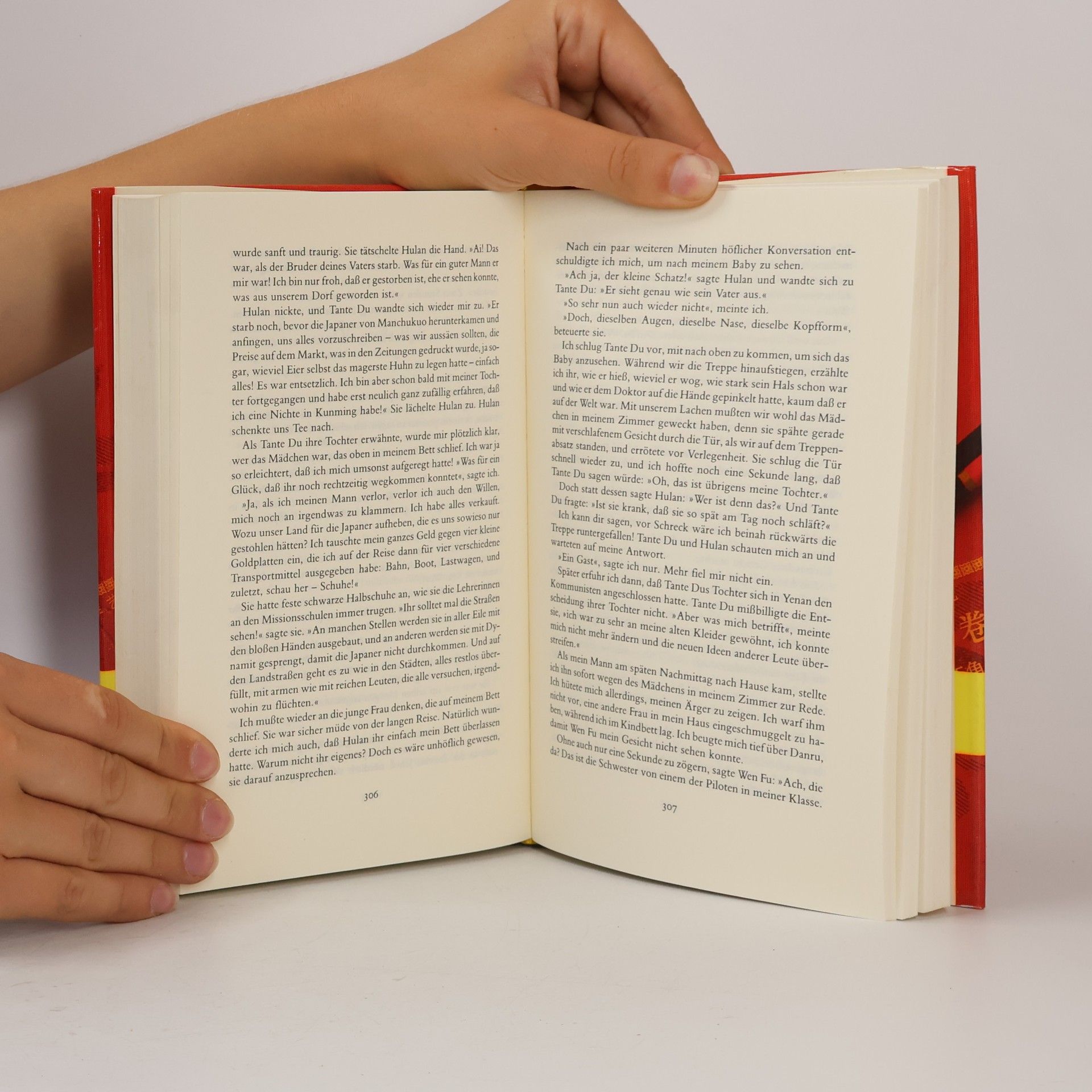 Amy Tan Die Frau des Feuergottes