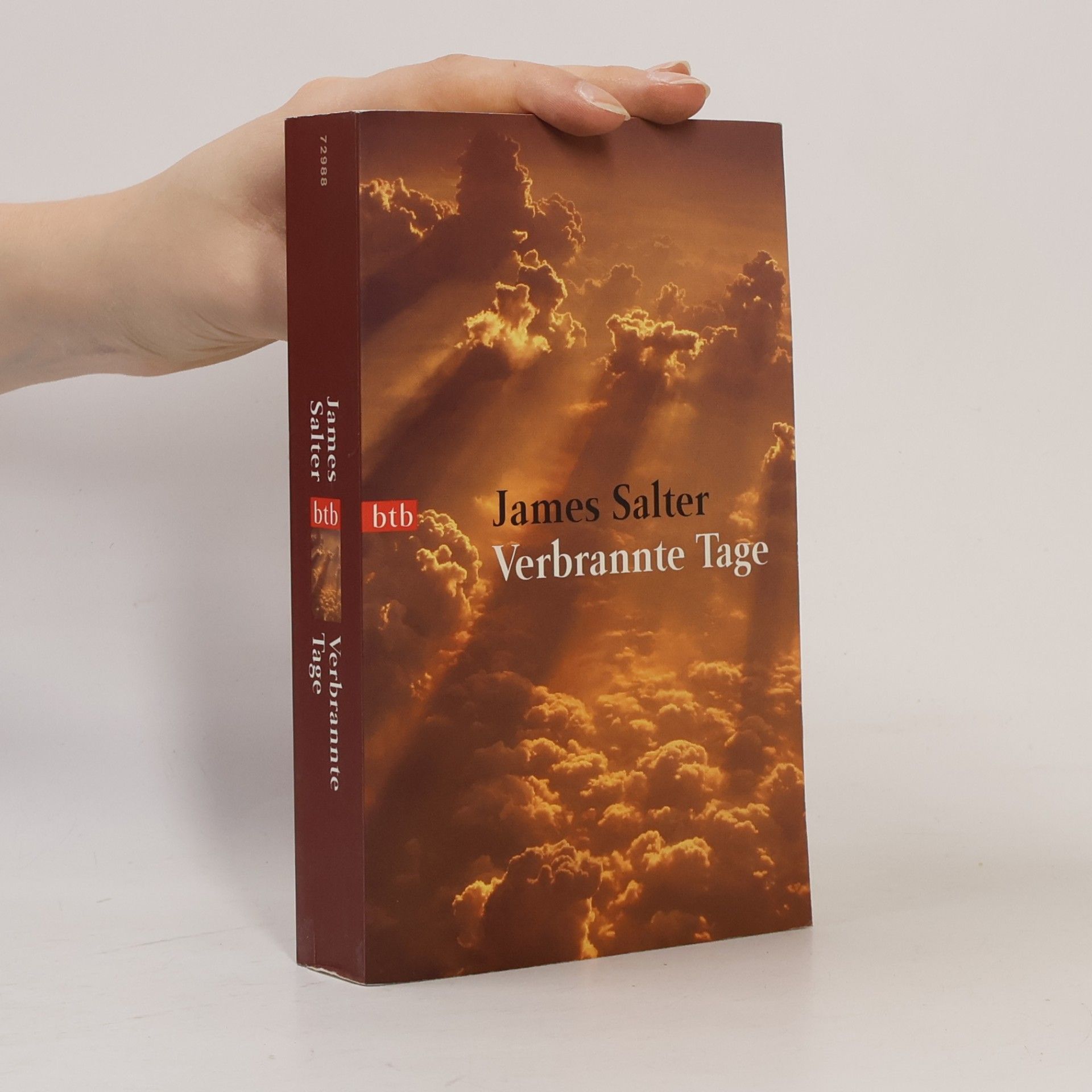 James Salter Verbrannte Tage