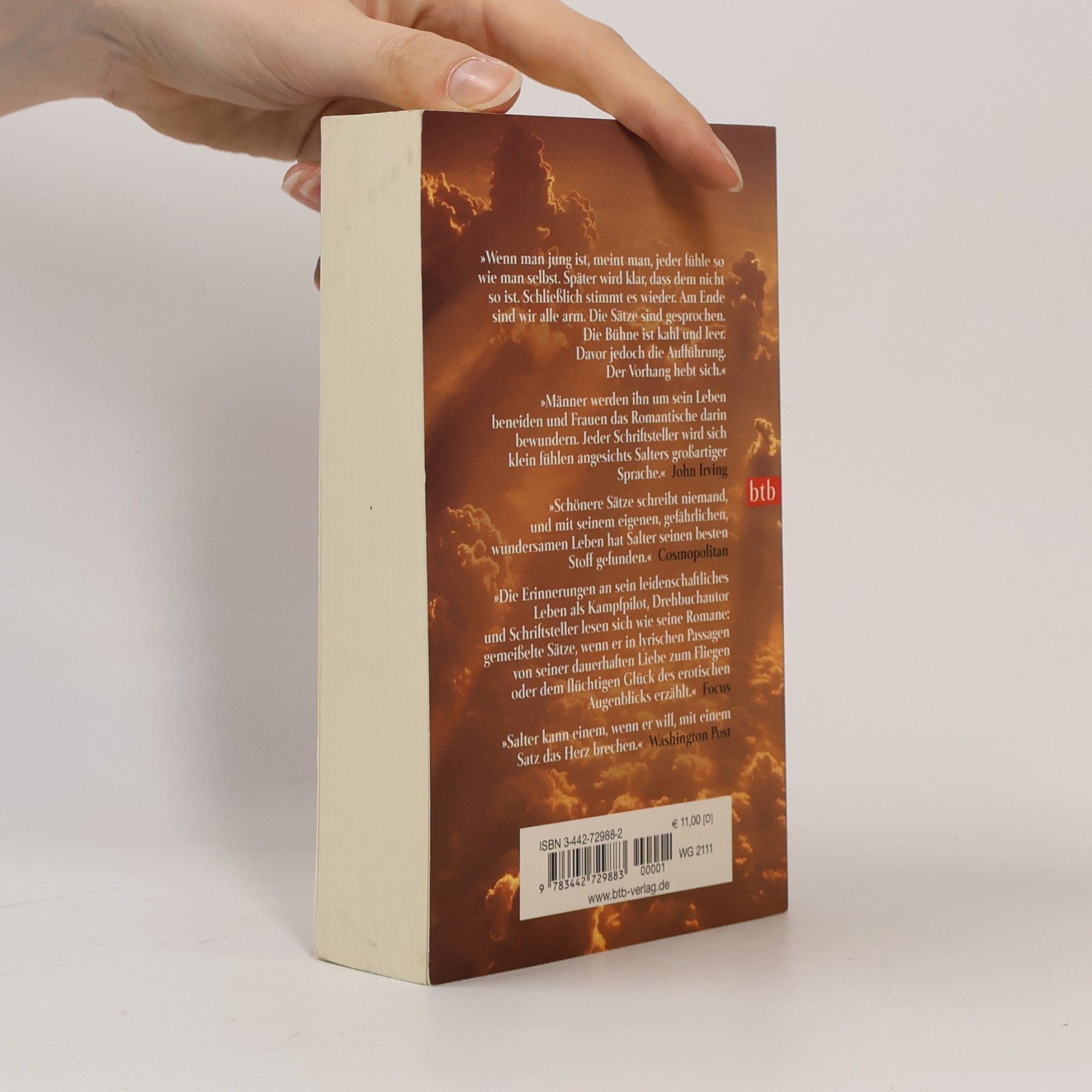 James Salter Verbrannte Tage