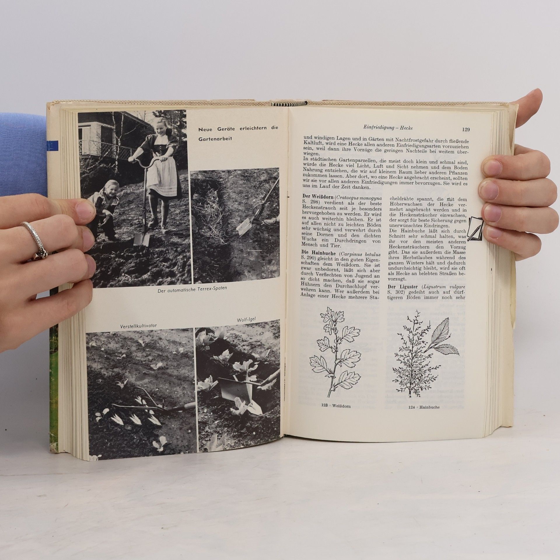 Horst Koehler Das praktische Gartenbuch