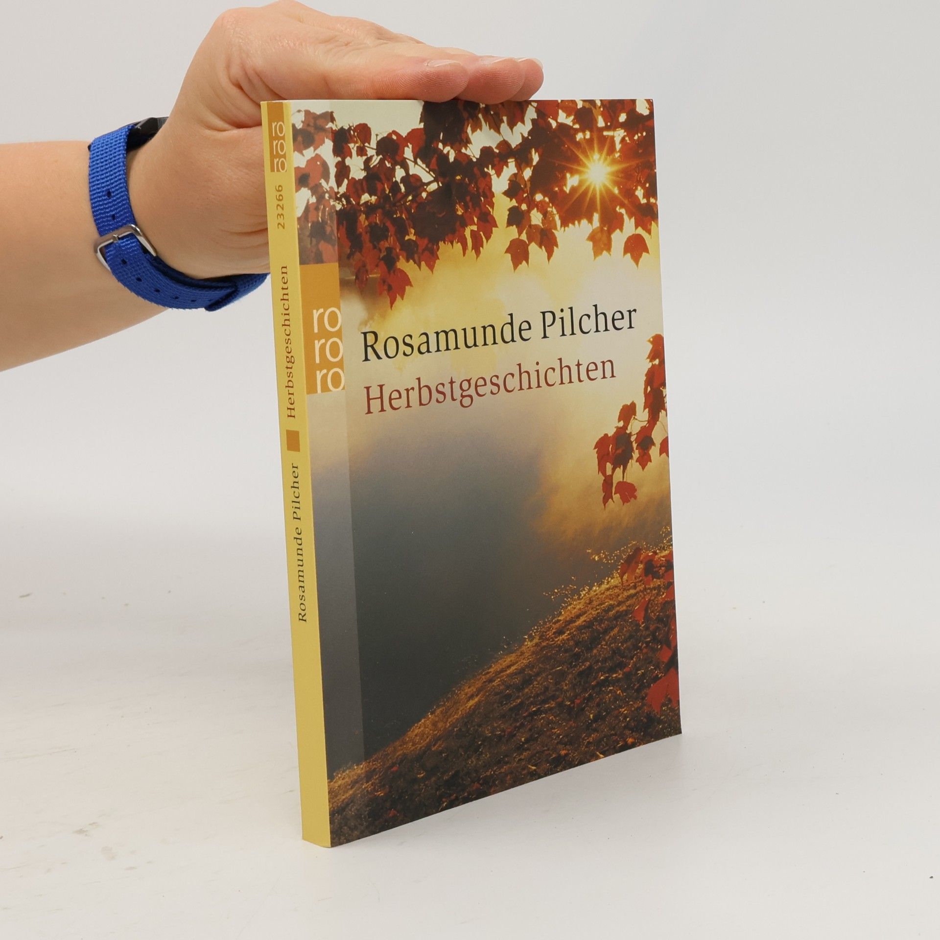 Rosamunde Pilcherová Herbstgeschichten