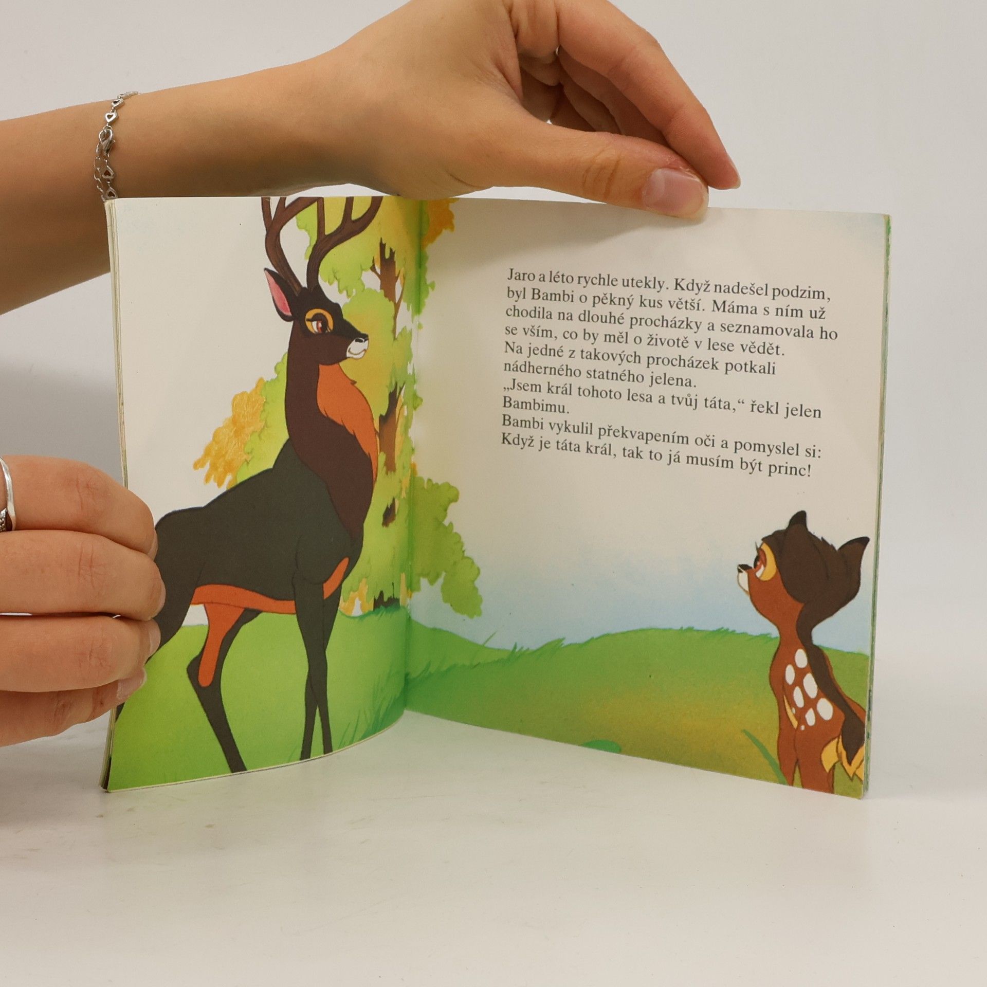 Kolektiv autorů Bambi