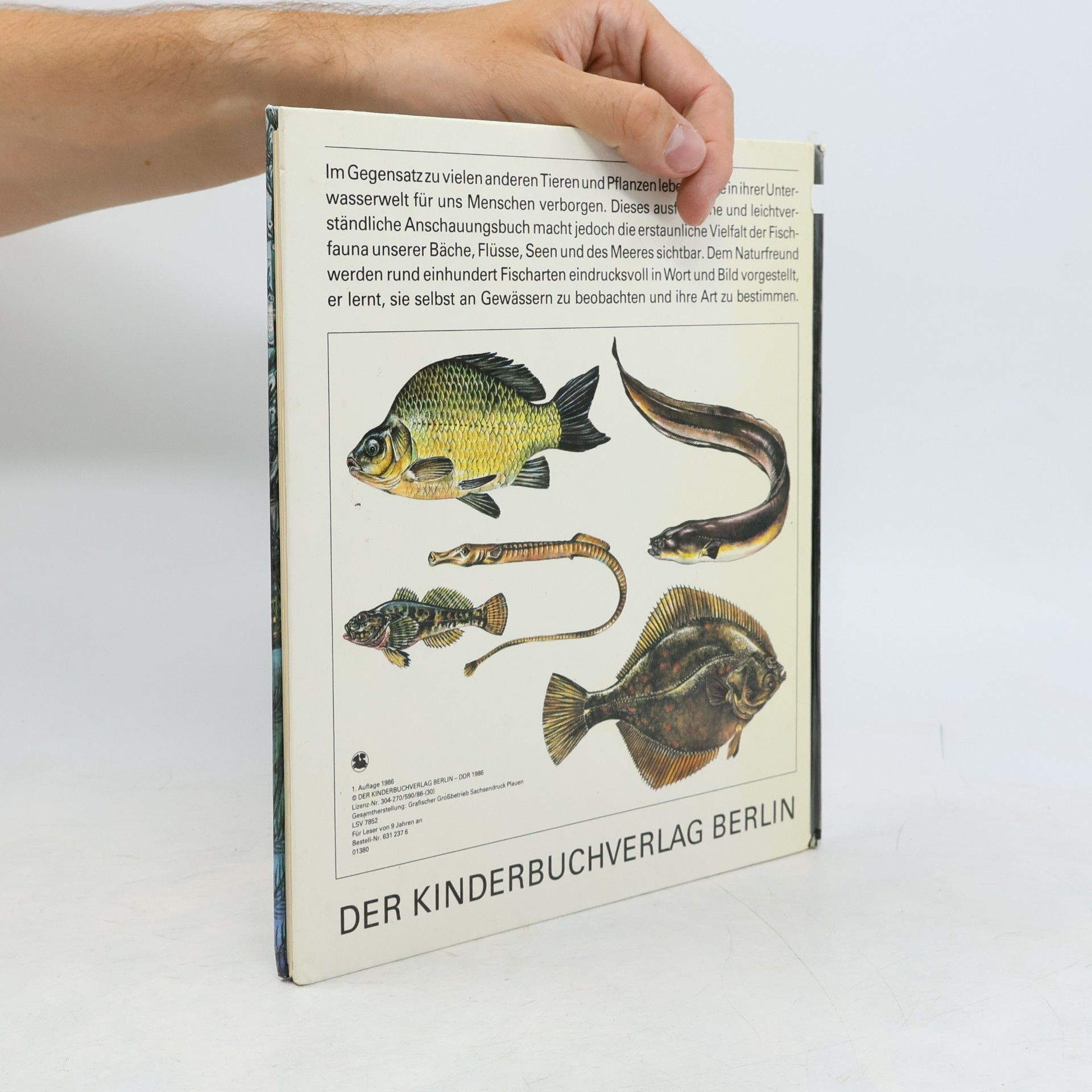 Horst Schroder Fische