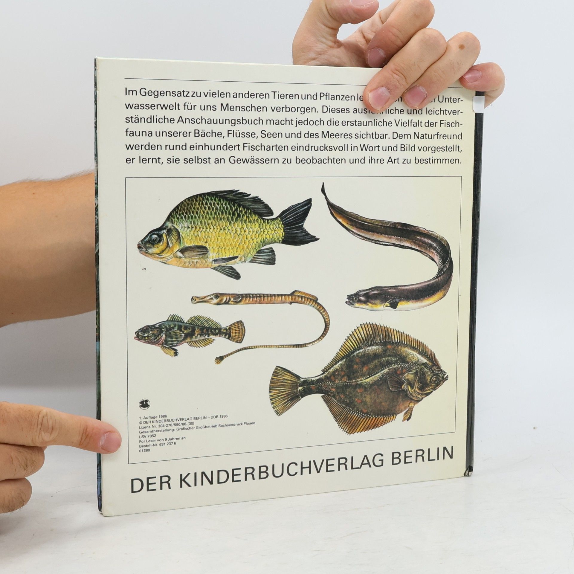 Horst Schroder Fische