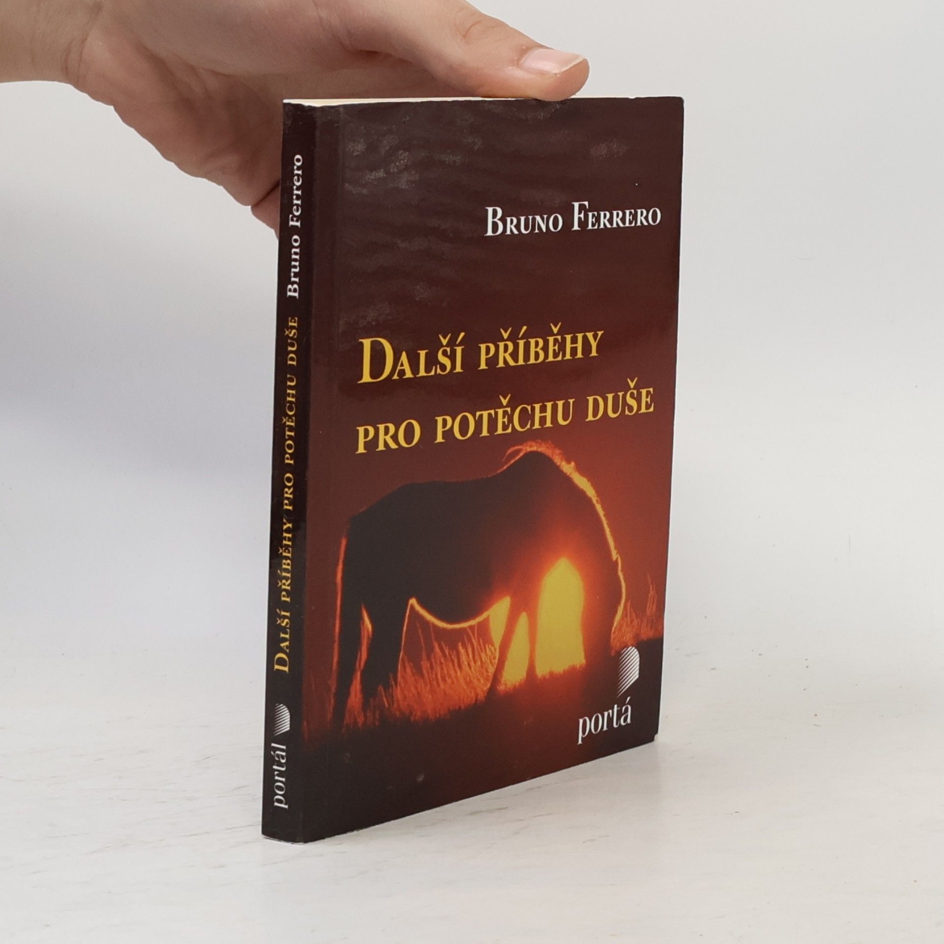 Bruno Ferrero Další příběhy pro potěchu duše