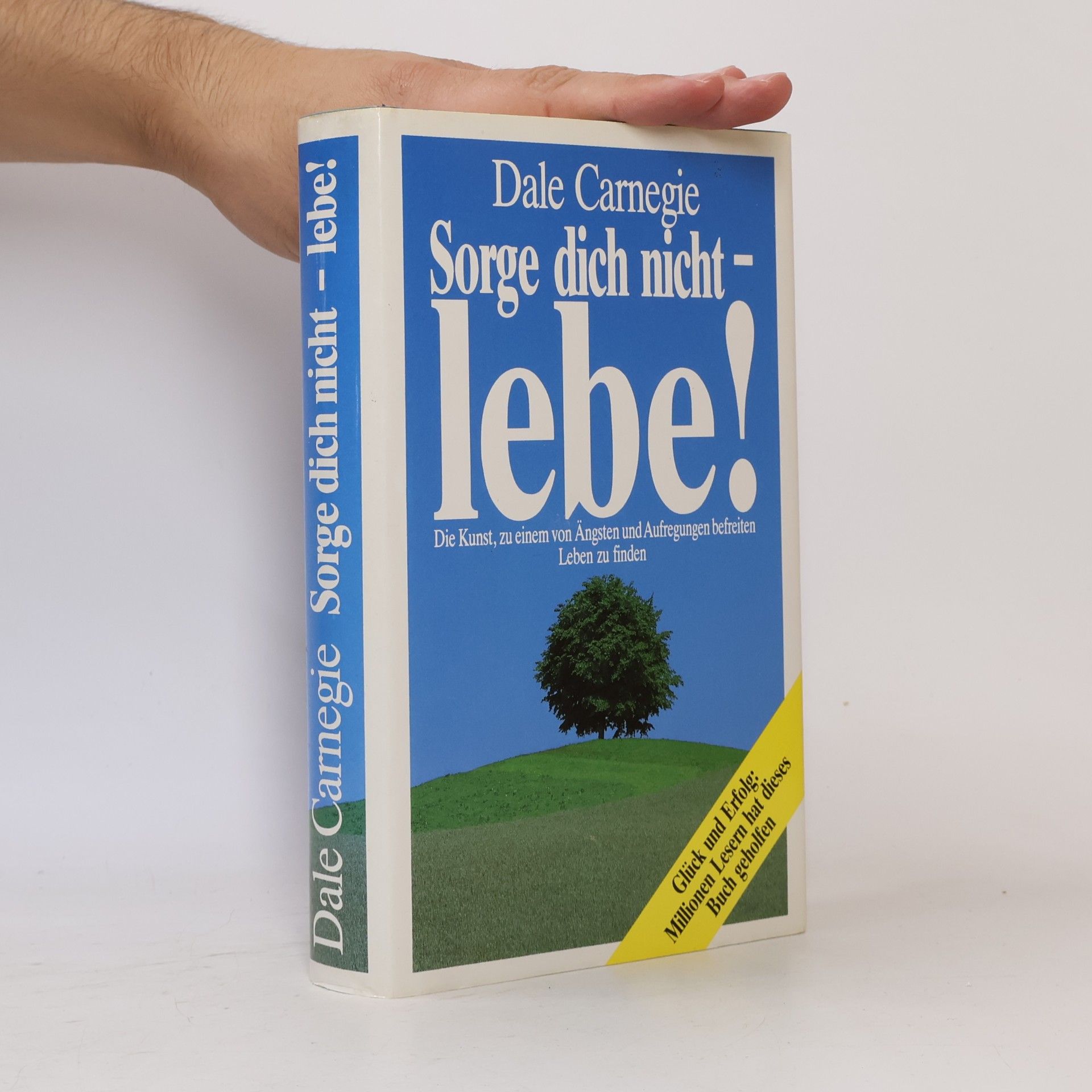 Dale Carnegie Sorge dich nicht - lebe!
