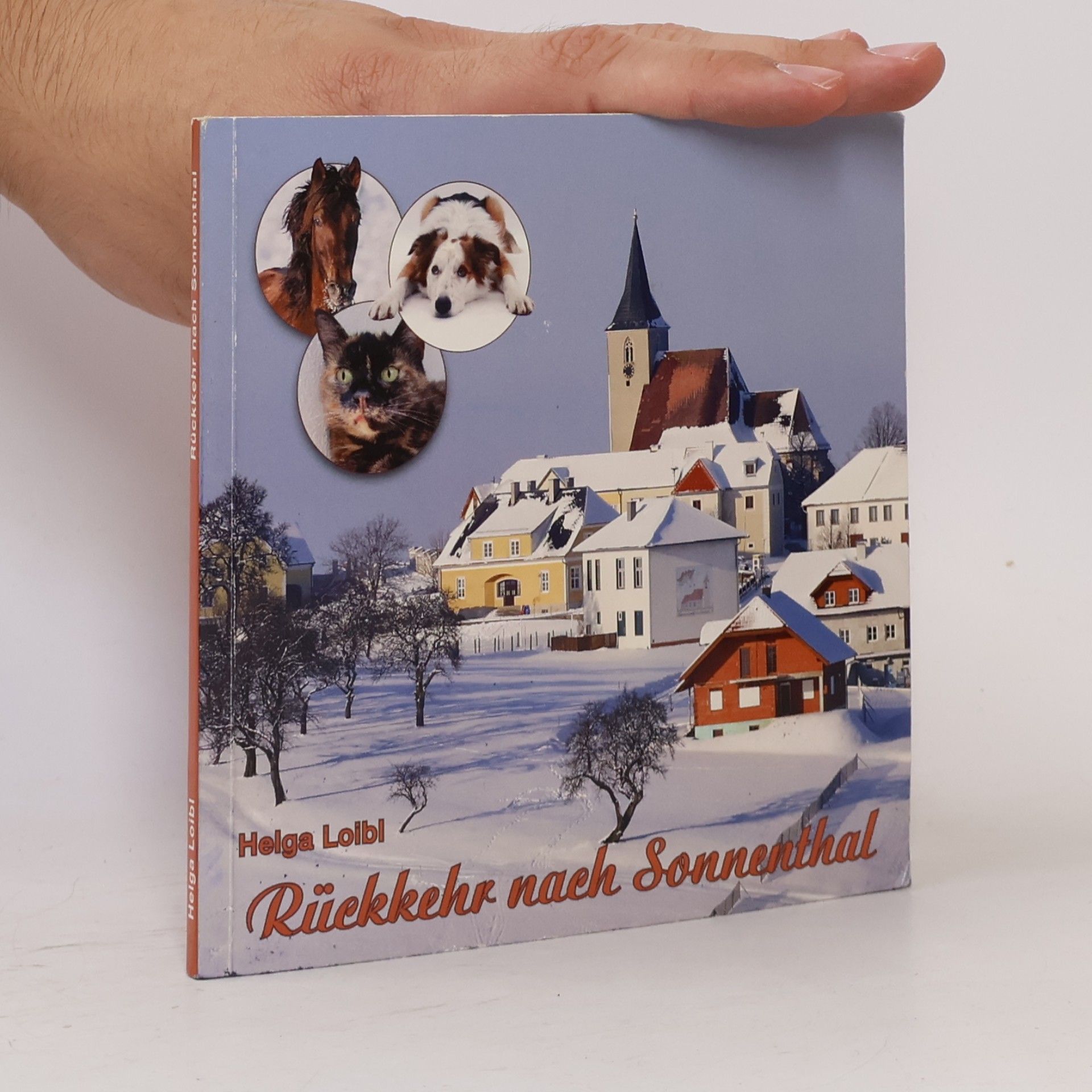 Helga Loibl Rückkehr nach Sonnenthal