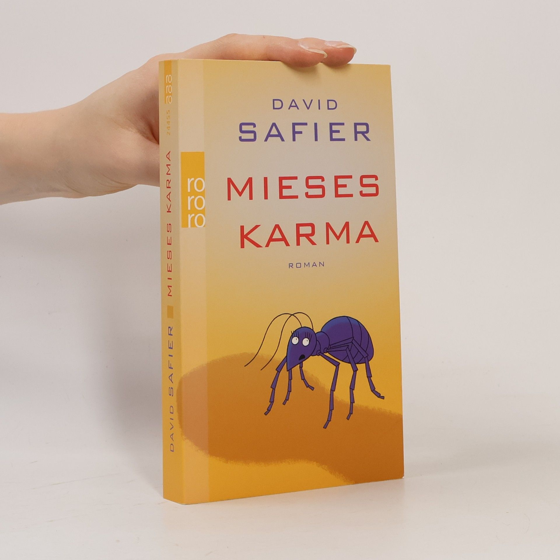 David Safier Mieses Karma