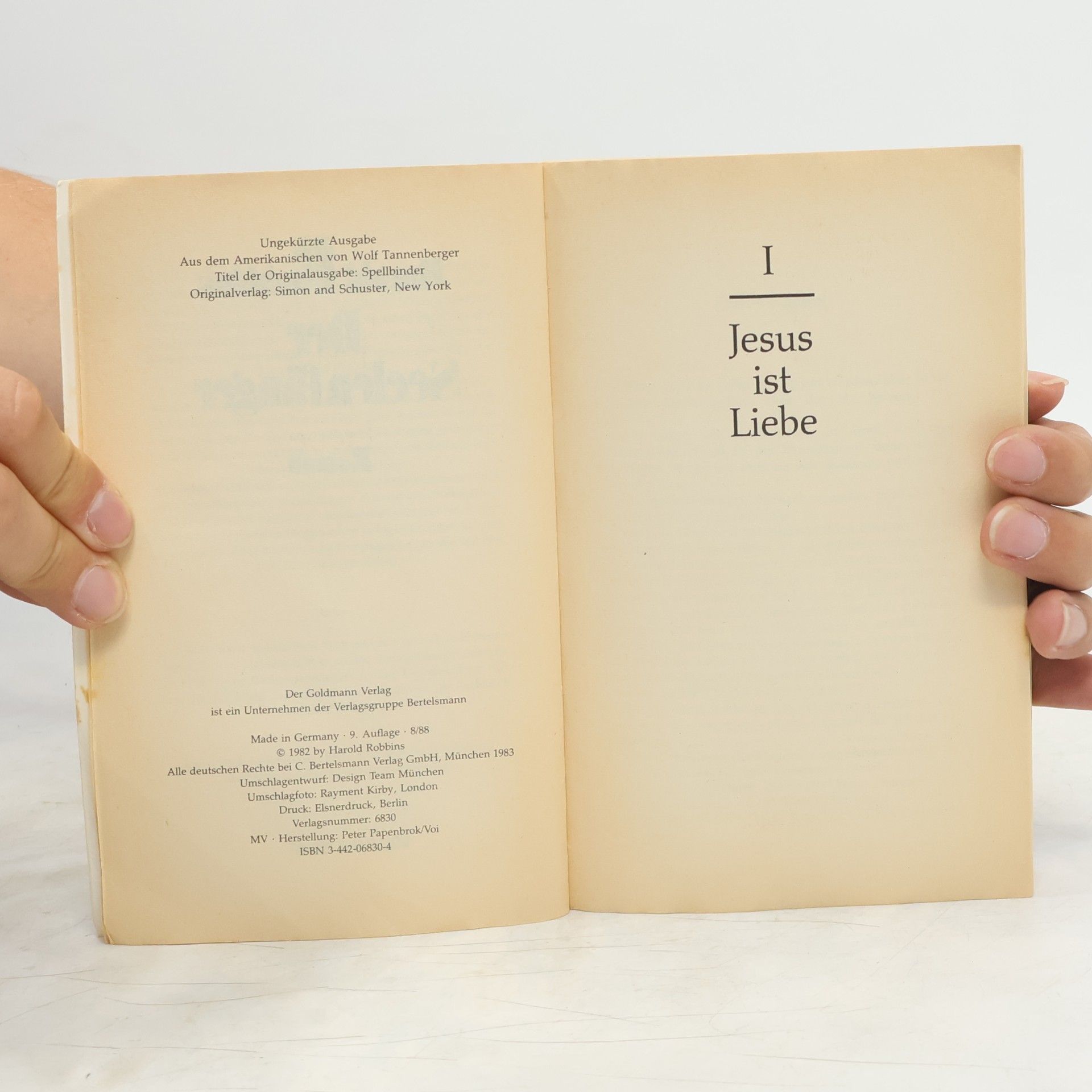 Harold Robbins Der Seelenfänger