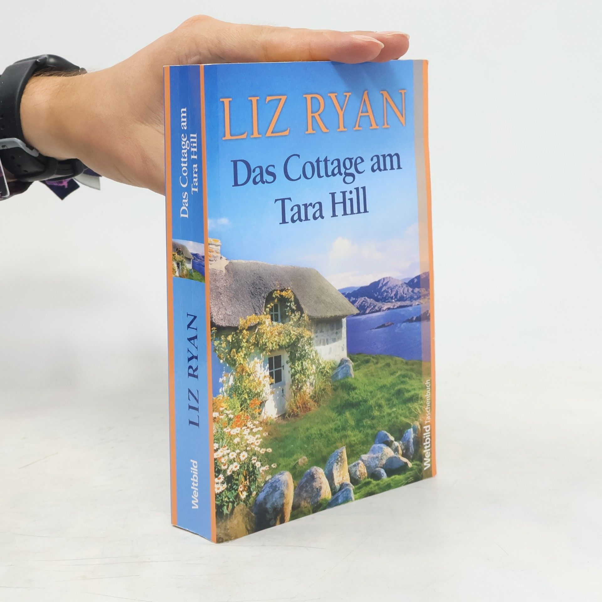 Liz Ryan Das Cottage am Tara Hill