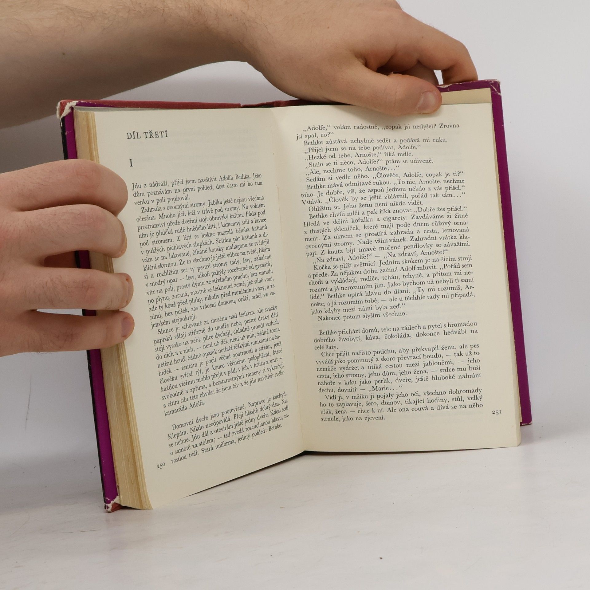 Erich Maria Remarque Na západní frontě klid. Cesta zpátky