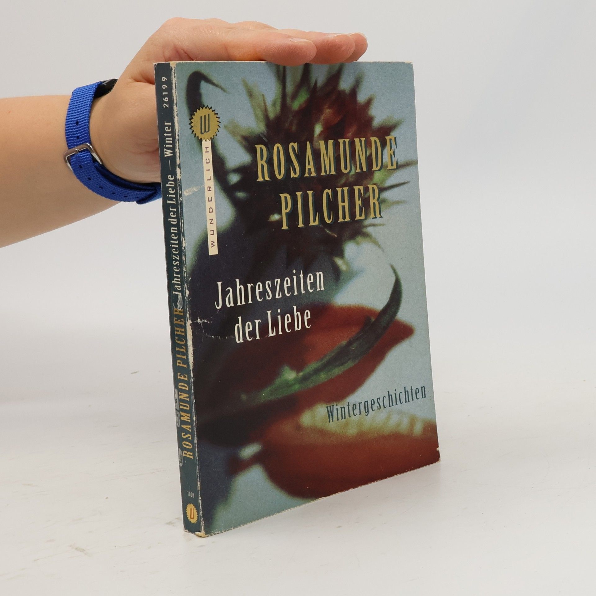 Rosamunde Pilcher Jahreszeiten der Liebe