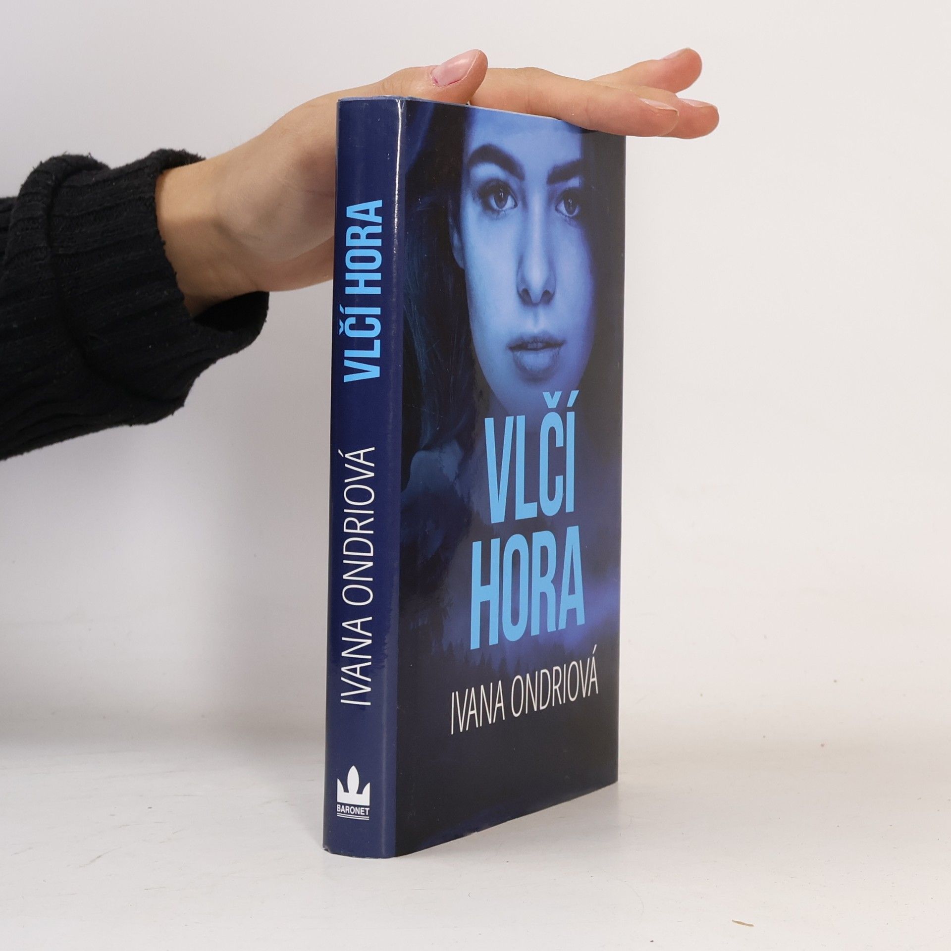 Vlčí hora