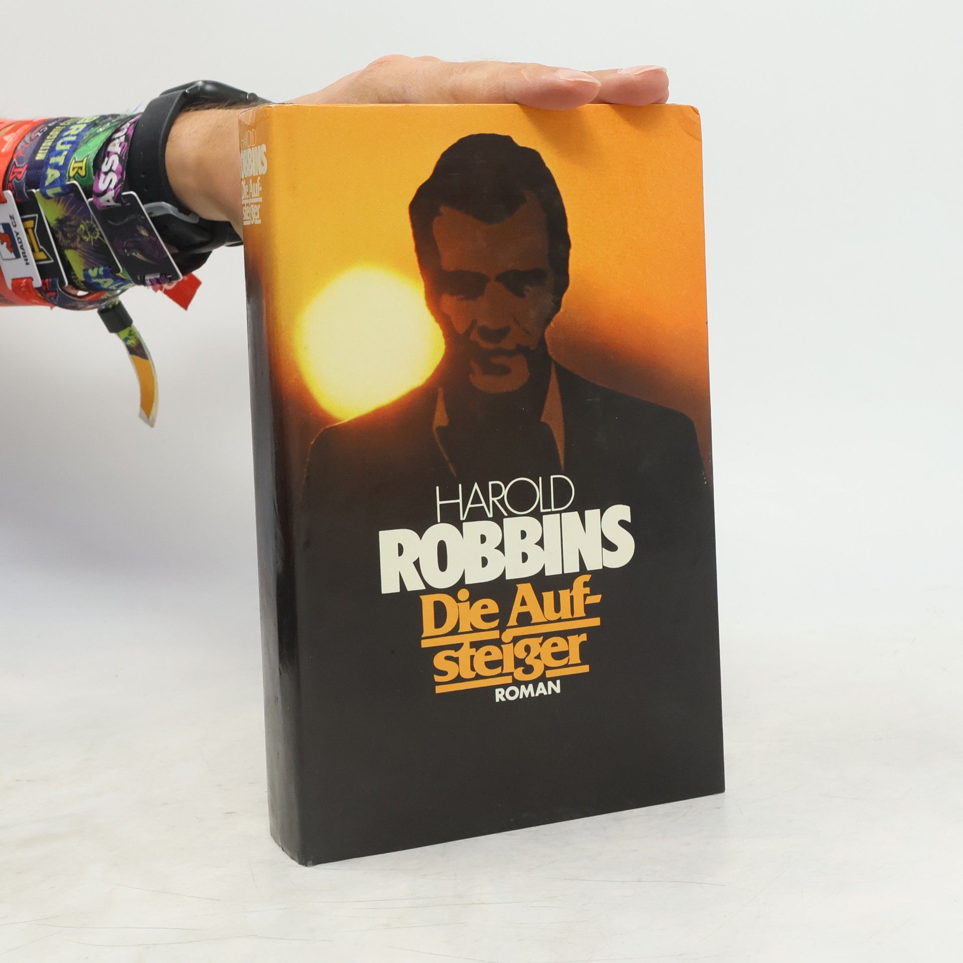 Harold Robbins Die Aufsteiger