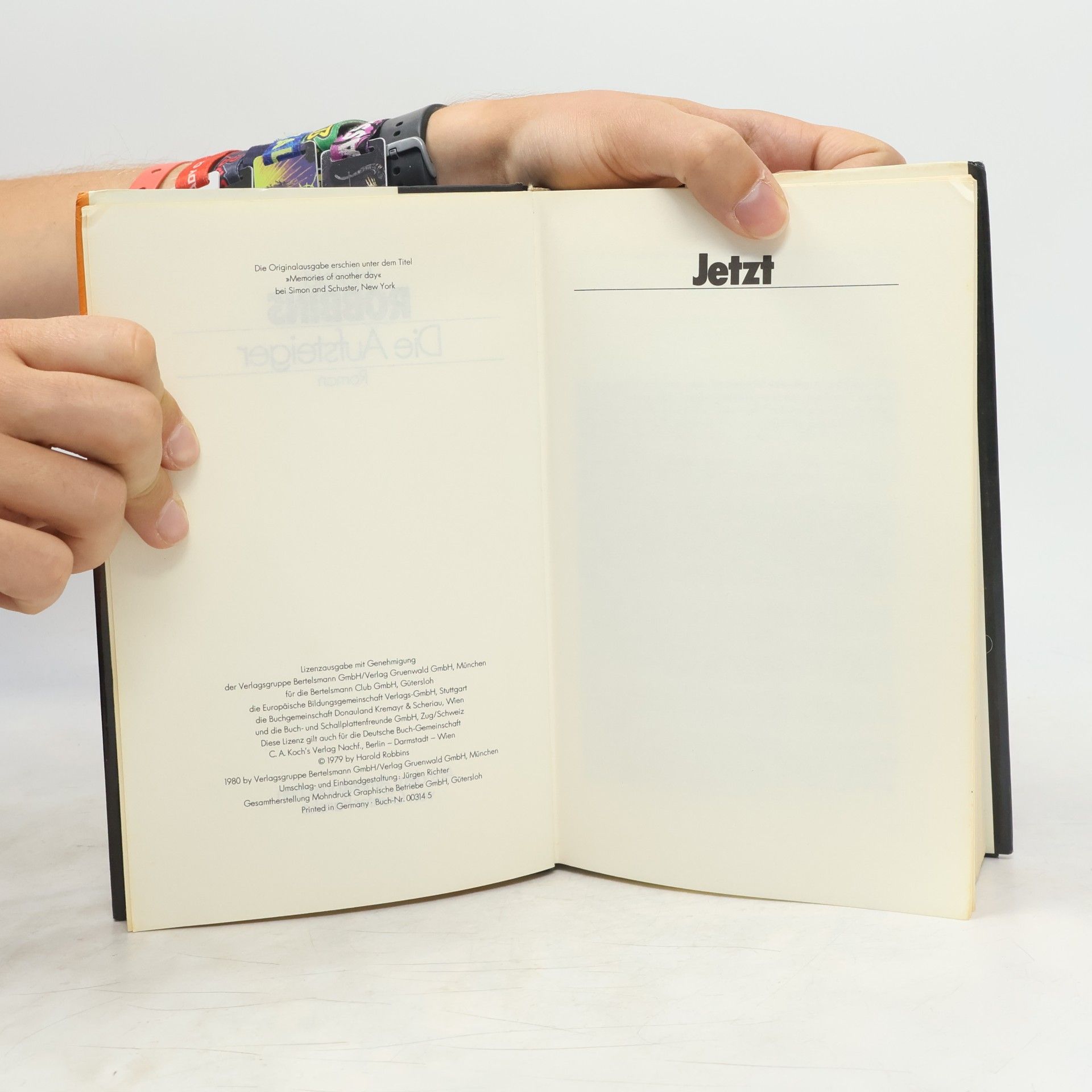 Harold Robbins Die Aufsteiger