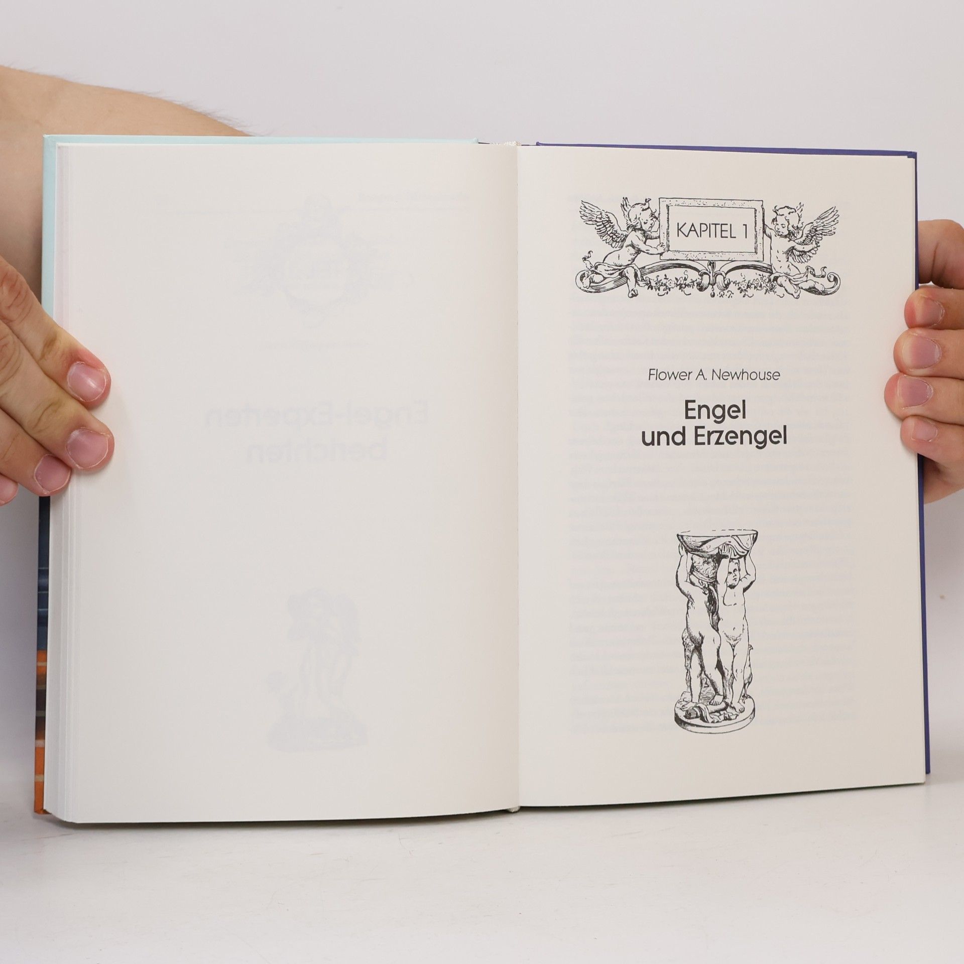 Peter Michel Das große Buch der Engel
