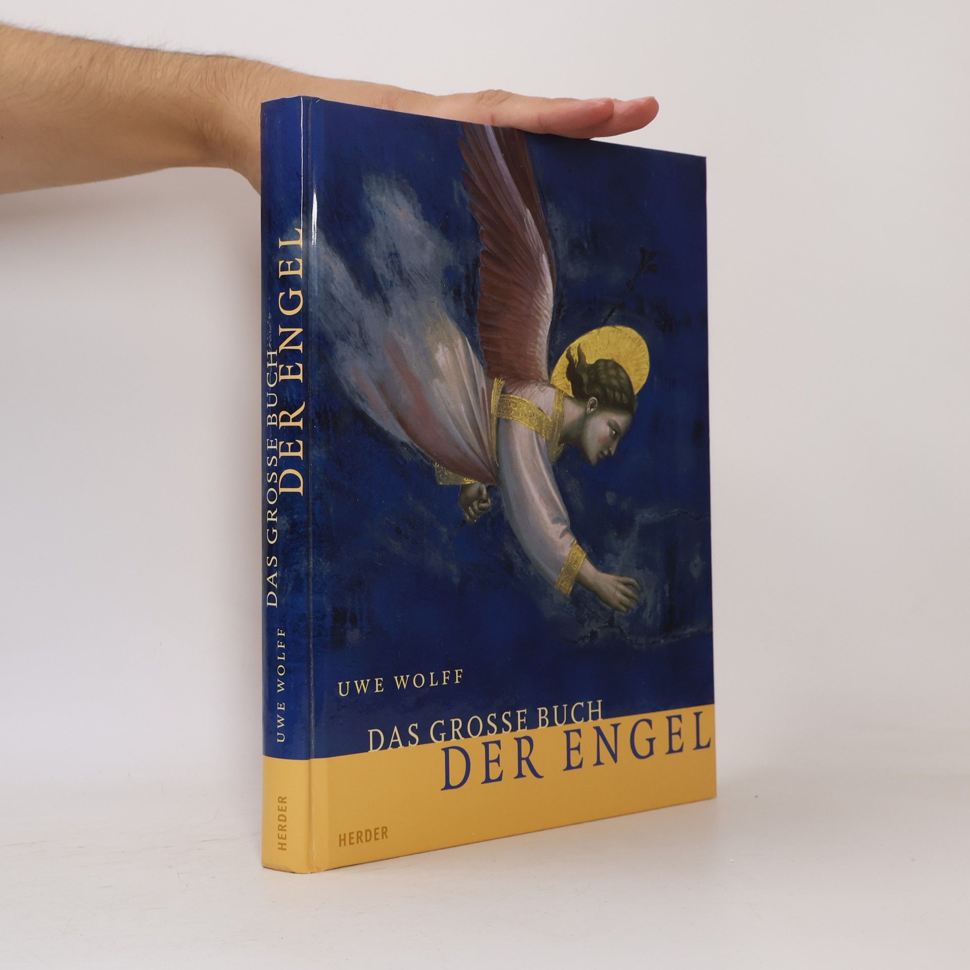 Uwe Wolff Das grosse Buch der Engel